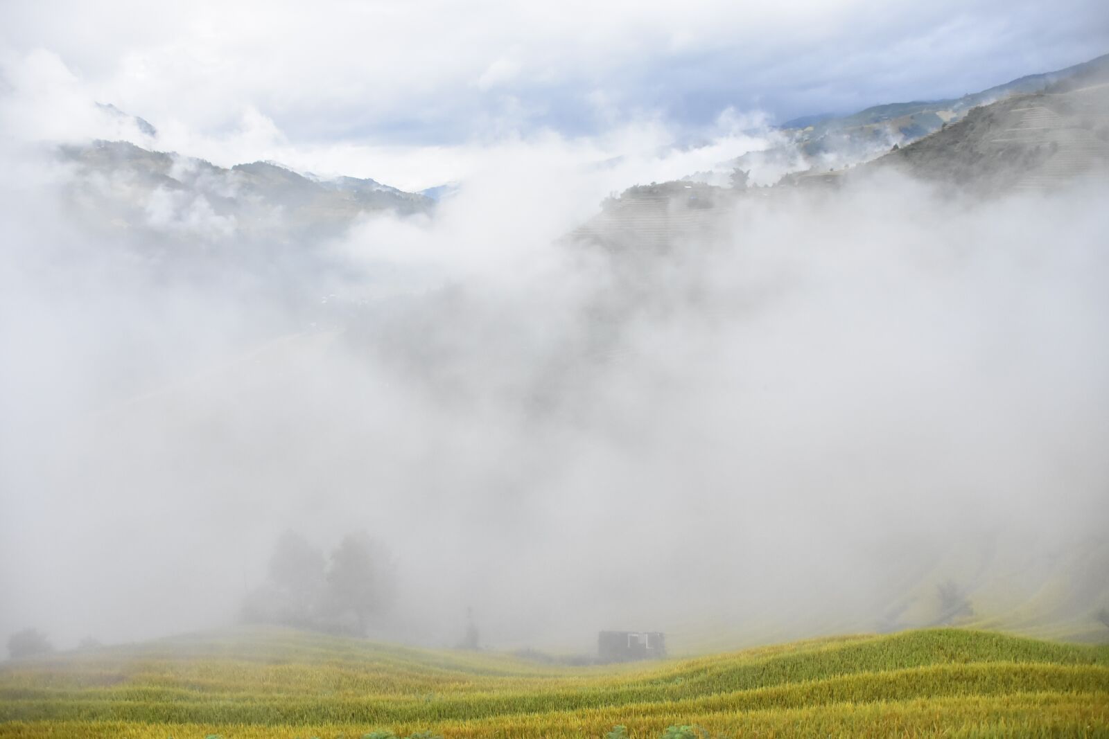 Nikon D7200 sample photo. Mountains, field, valley photography