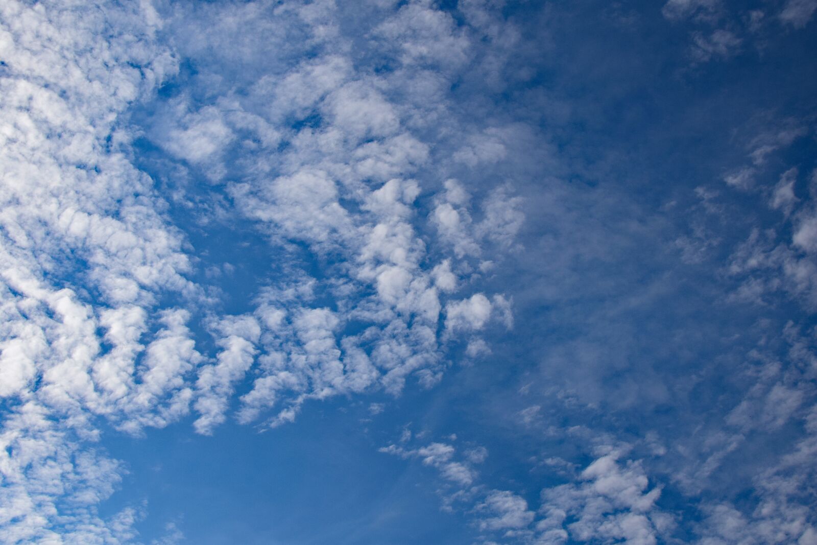 Nikon D3300 sample photo. Cirrocumulus stratiformis clouds, clouds photography