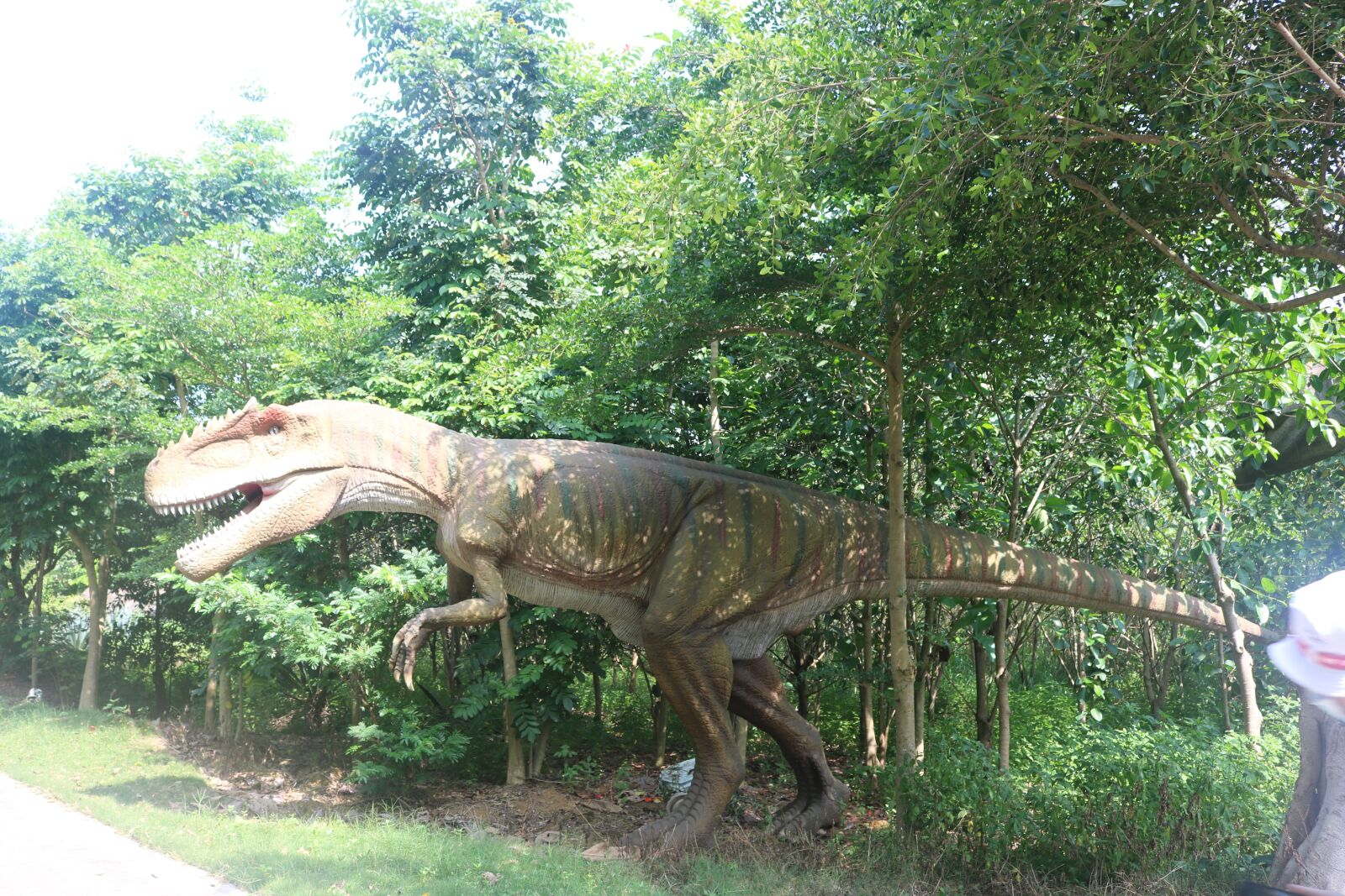 Canon EOS 750D (EOS Rebel T6i / EOS Kiss X8i) sample photo. Dinosaur, ancient dinosaur, simulation photography