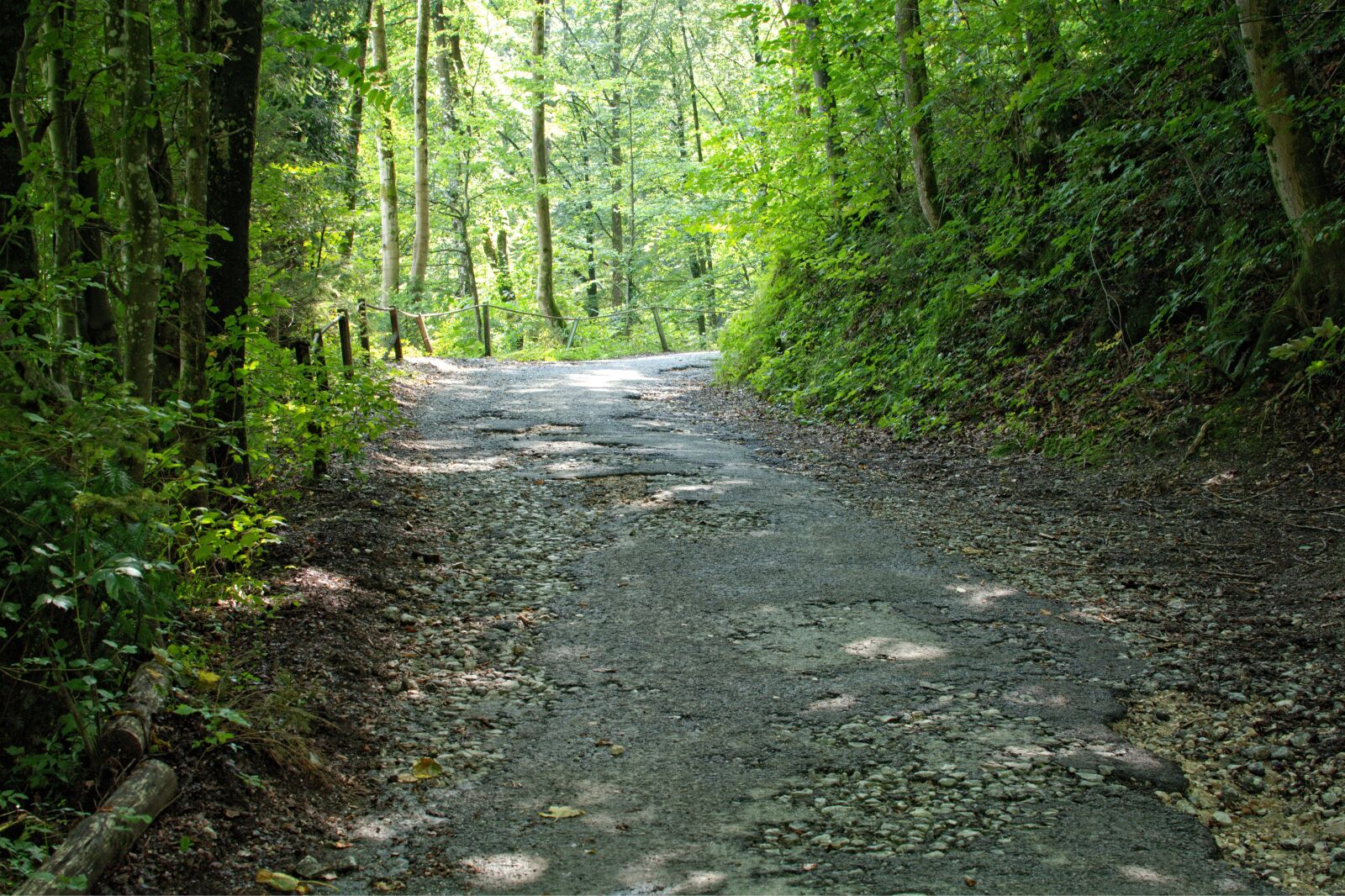 Nikon D7100 sample photo. Old, broken, road photography