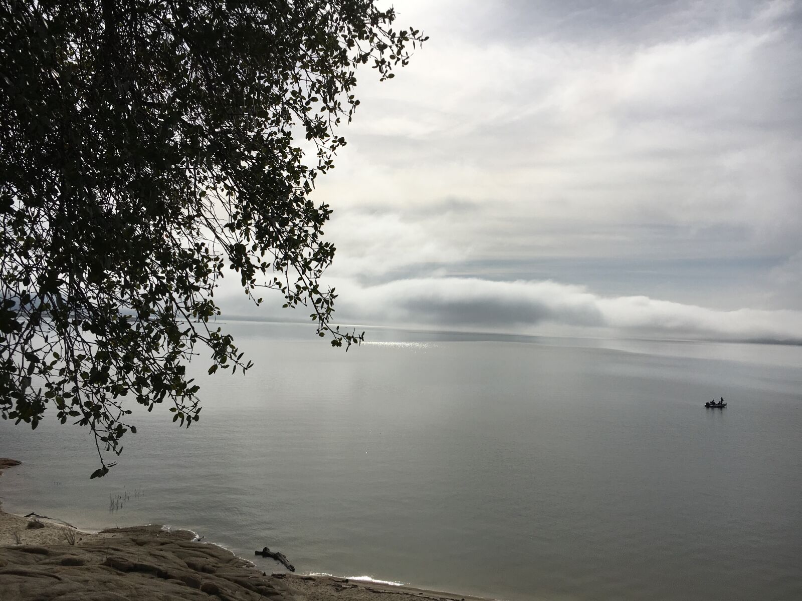 Apple iPhone 6s sample photo. Fog, lake, nature photography