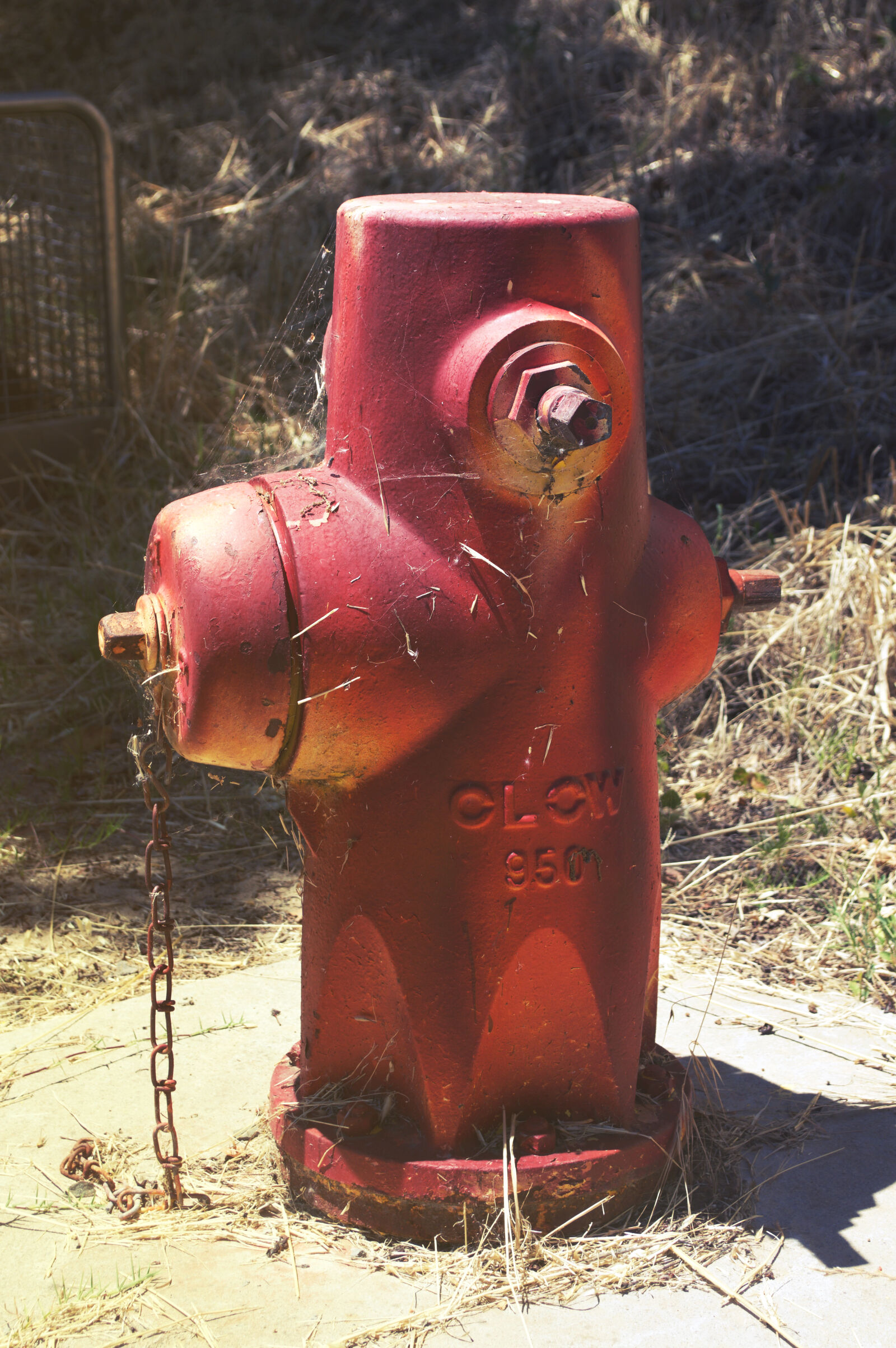 Nikon D3200 sample photo. Dirty, fire, fire, hydrant photography