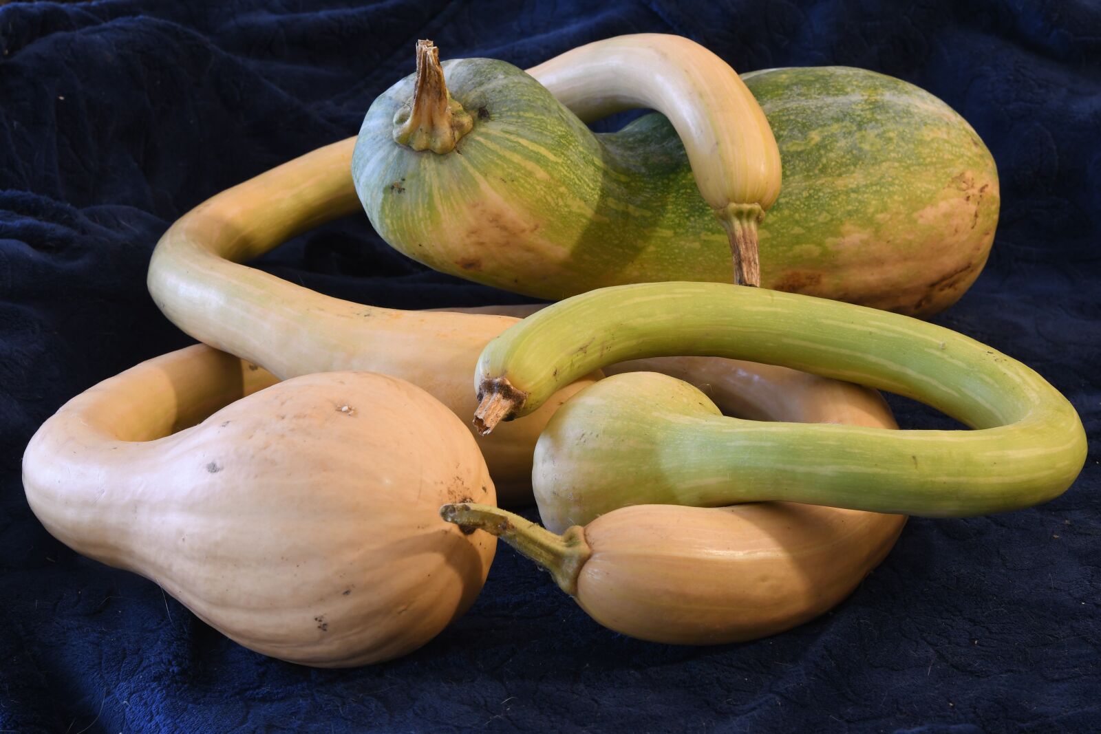 Nikon D7500 sample photo. Still life, pumpkins, food photography