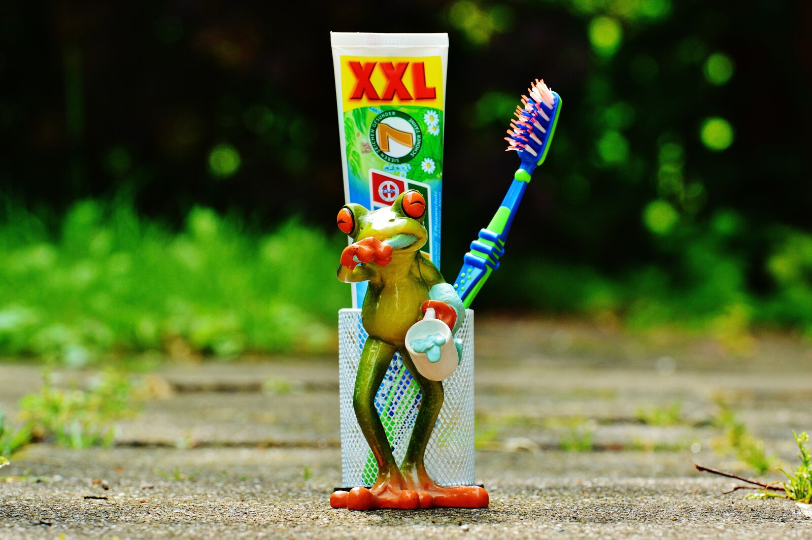 Nikon D3200 sample photo. Toothpaste, frog, toothbrush photography
