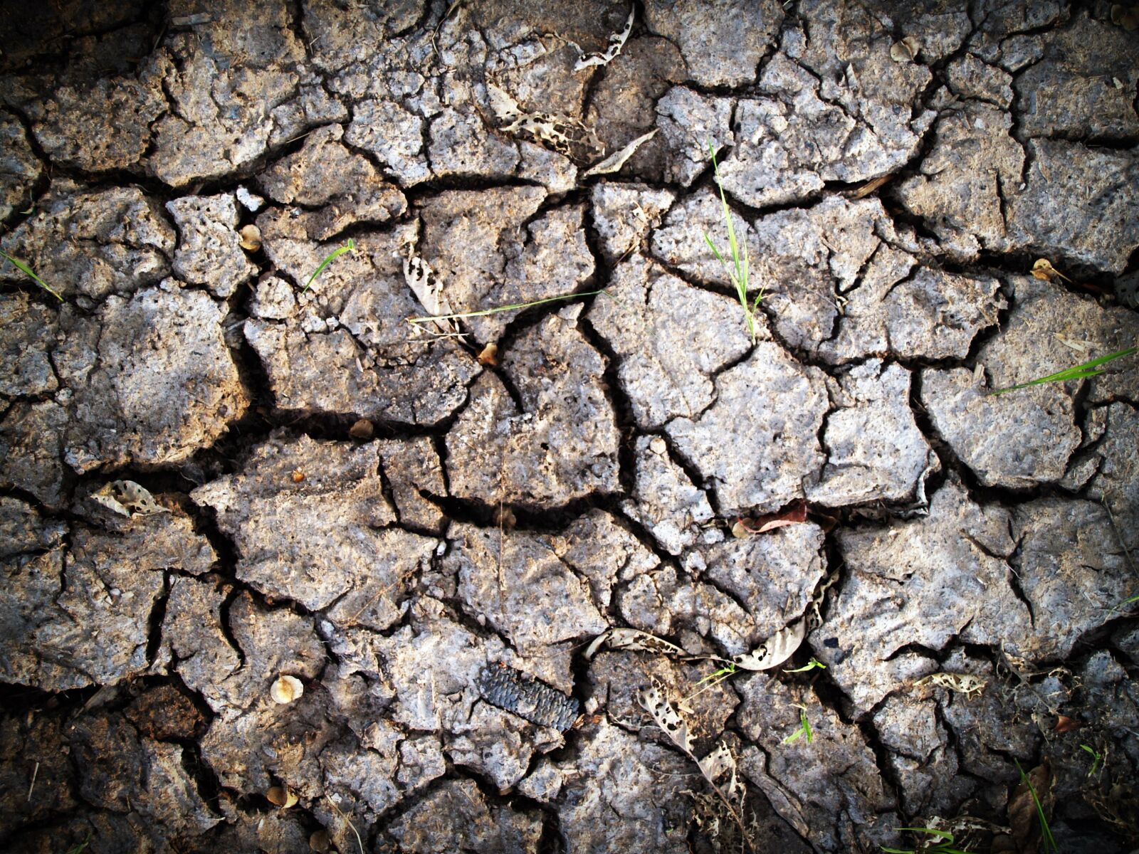 Olympus E-300 (EVOLT E-300) sample photo. Clay, close, up, cracks photography