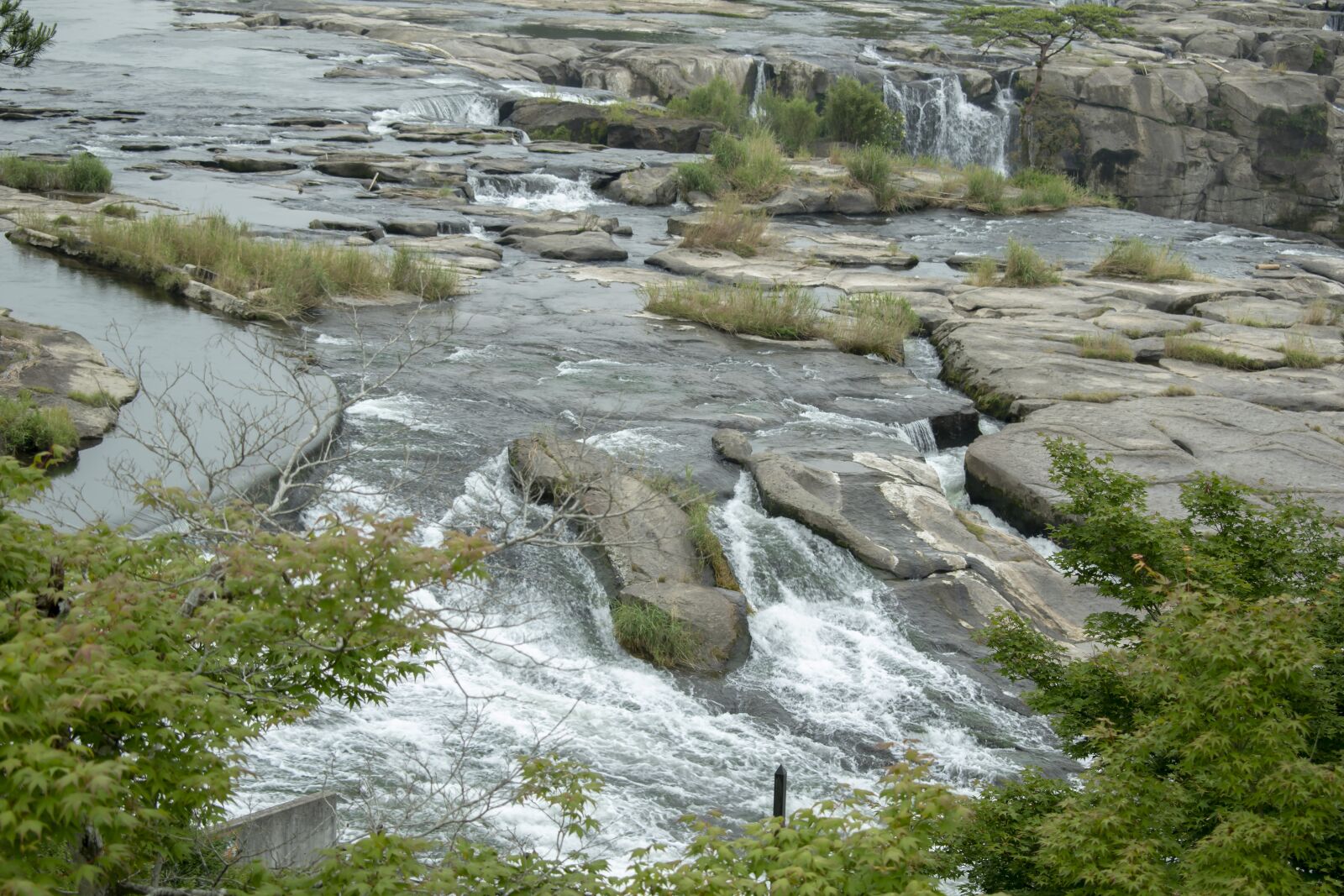 Nikon D5600 sample photo. Mountain spring, glacier water photography