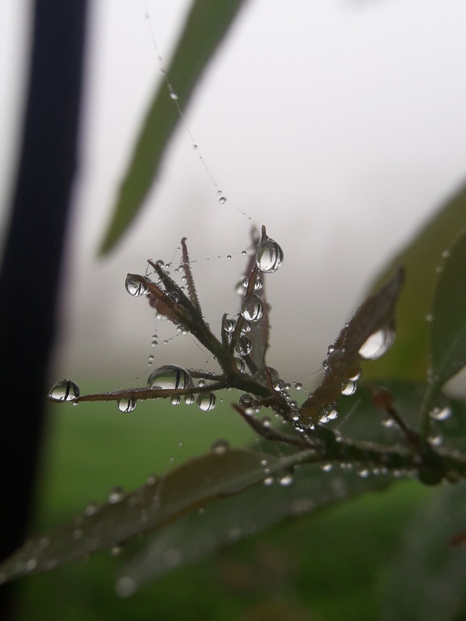 Samsung Galaxy J7 Neo sample photo. Water, water drops, morning photography