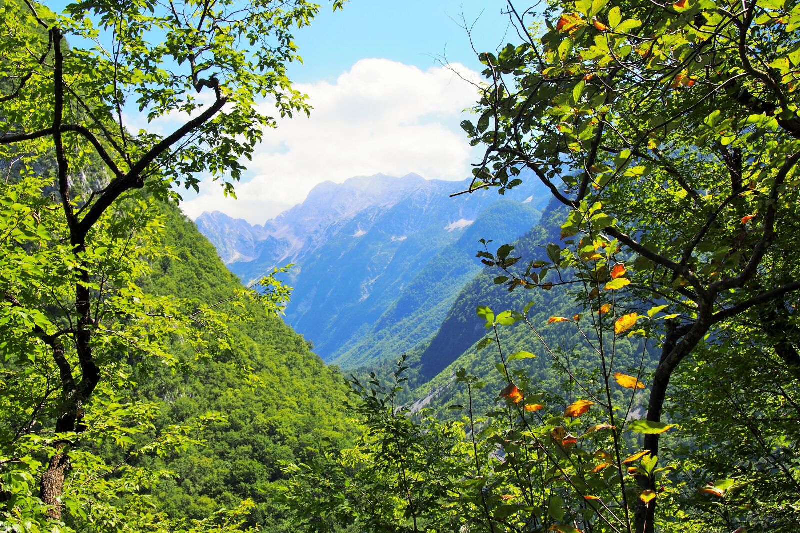 Olympus PEN E-PL6 sample photo. Nature, region, travel photography