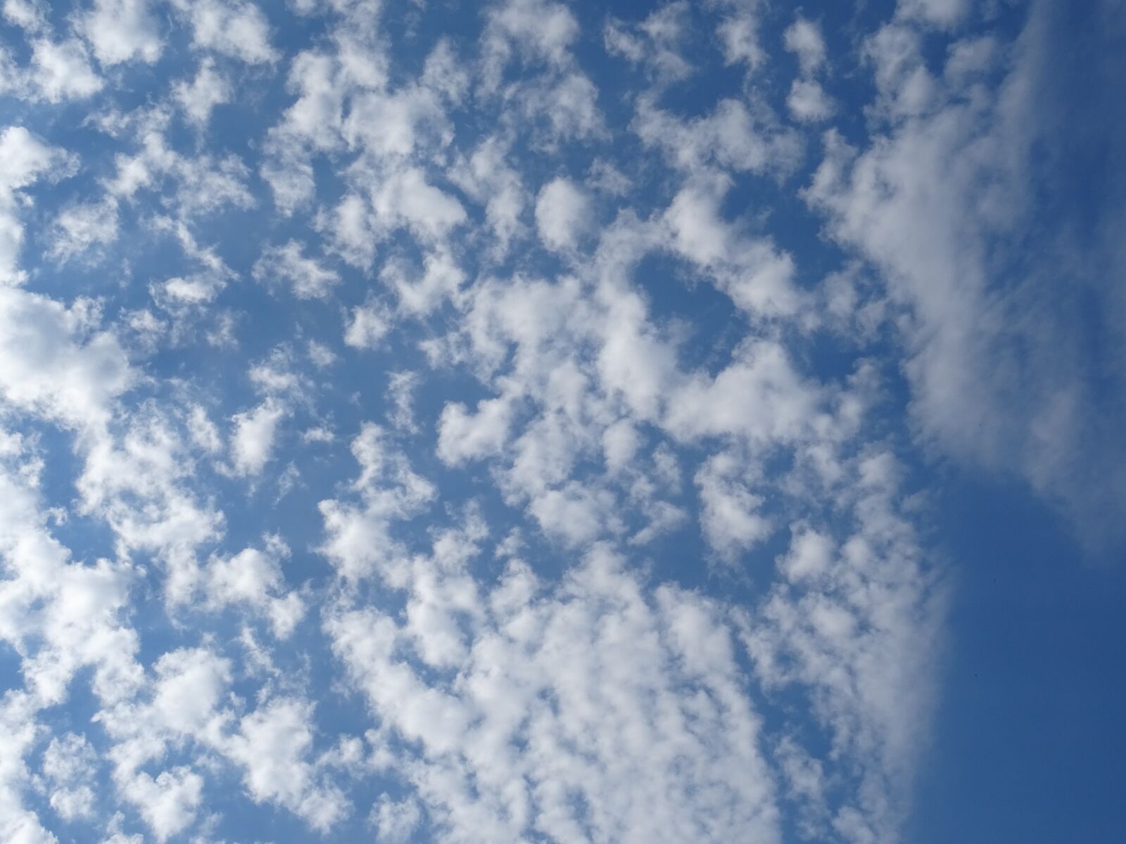 Sony DSC-HX60 sample photo. Sky, blue, clouds photography