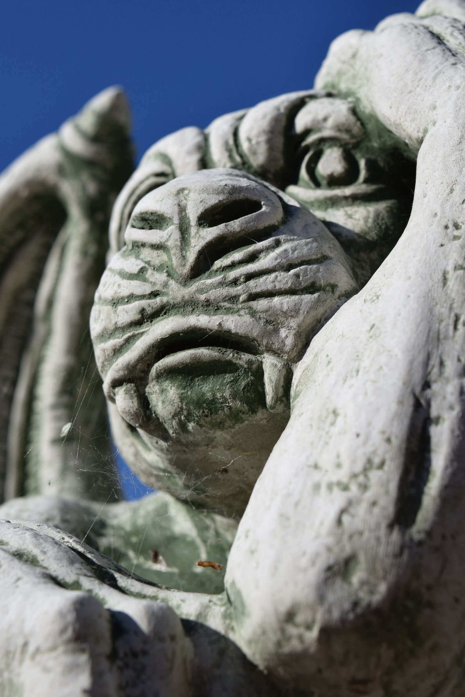 Nikon D3300 sample photo. Gargoyle, figure, mythical photography