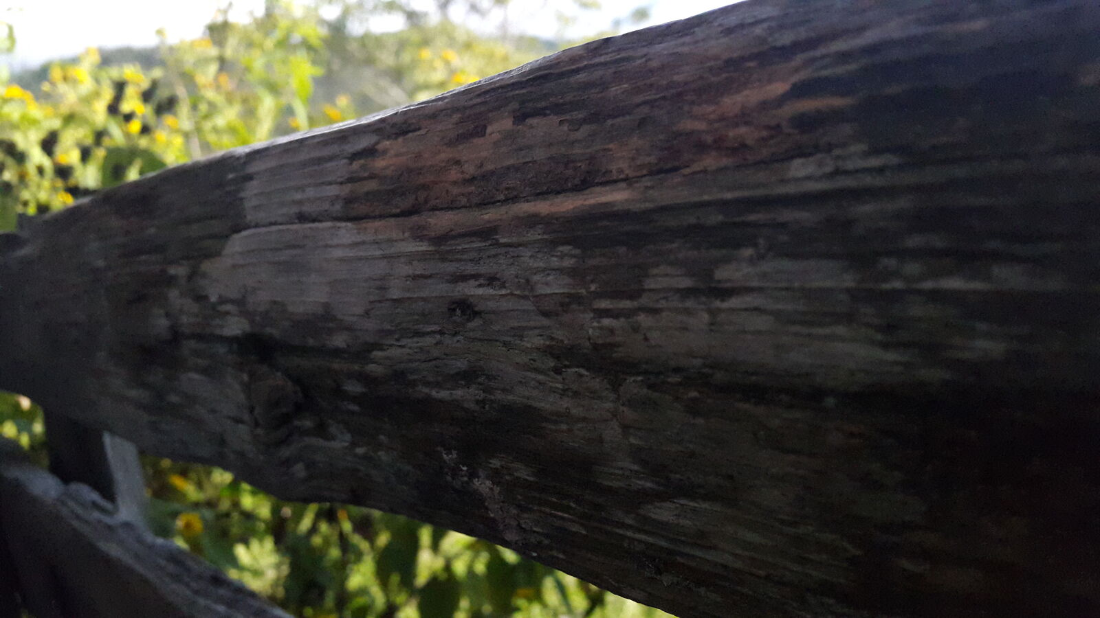 Samsung Galaxy S5 sample photo. Fence, garden, honduras, vintage photography