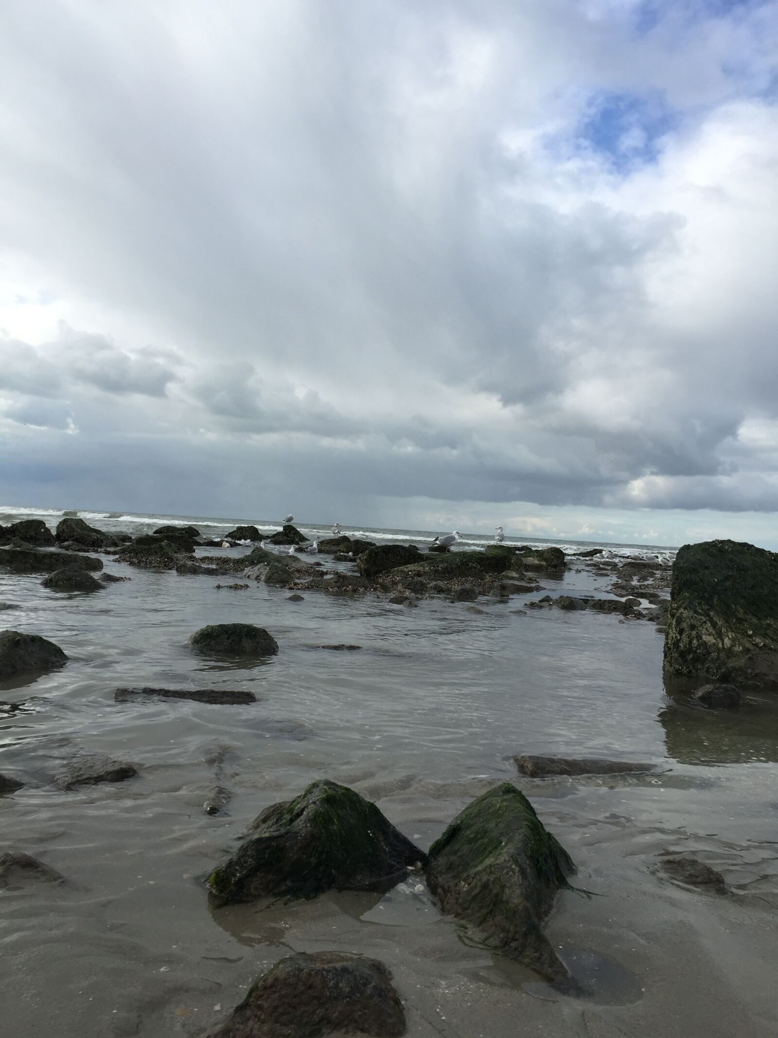 Apple iPhone 6 Plus sample photo. Clouds, sea, rocks photography