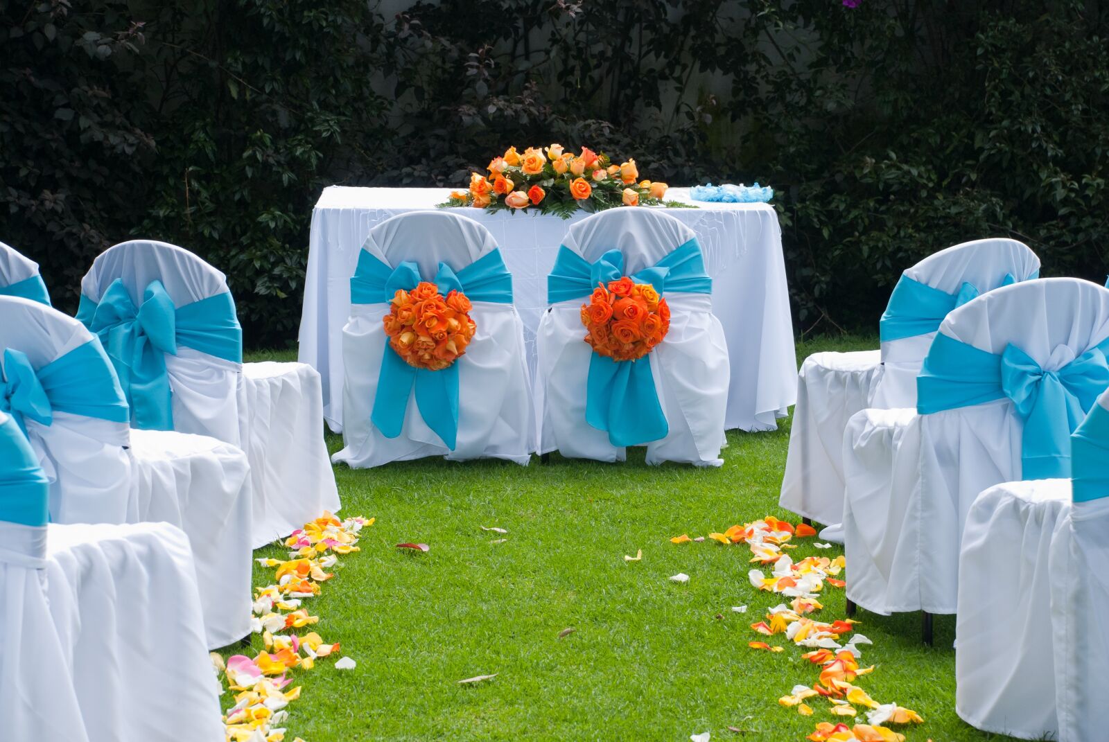 Nikon D60 sample photo. Wedding, marriage, campestre photography