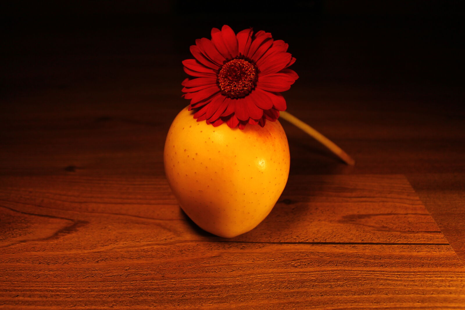 Canon EOS 1100D (EOS Rebel T3 / EOS Kiss X50) sample photo. Apple, flower, red, wood photography