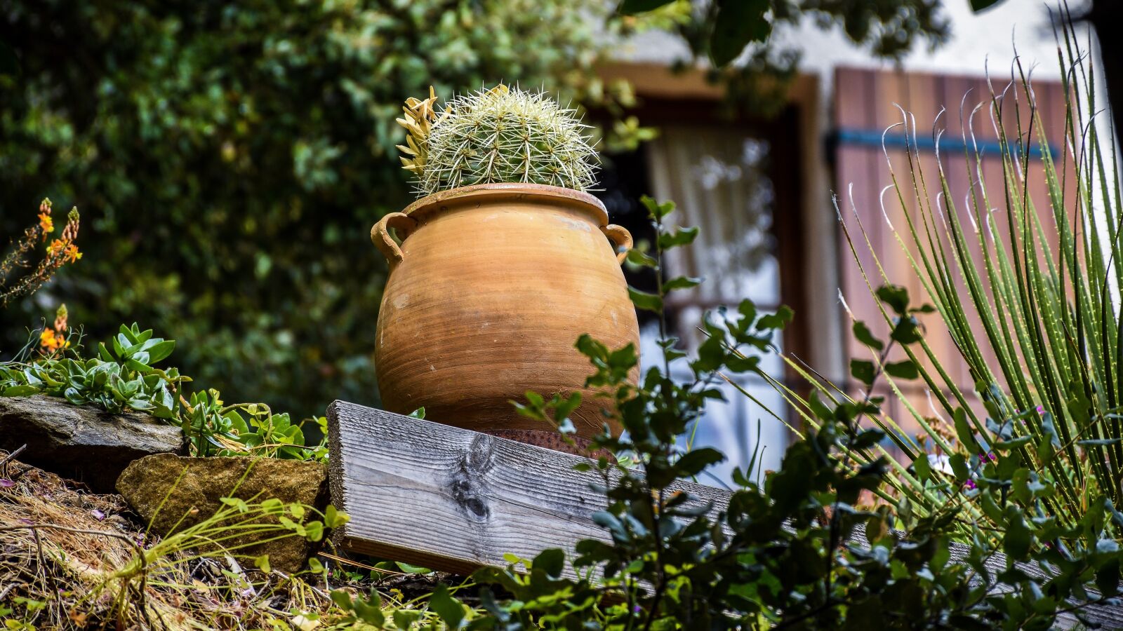 Nikon D5600 sample photo. French, riviera, garden photography