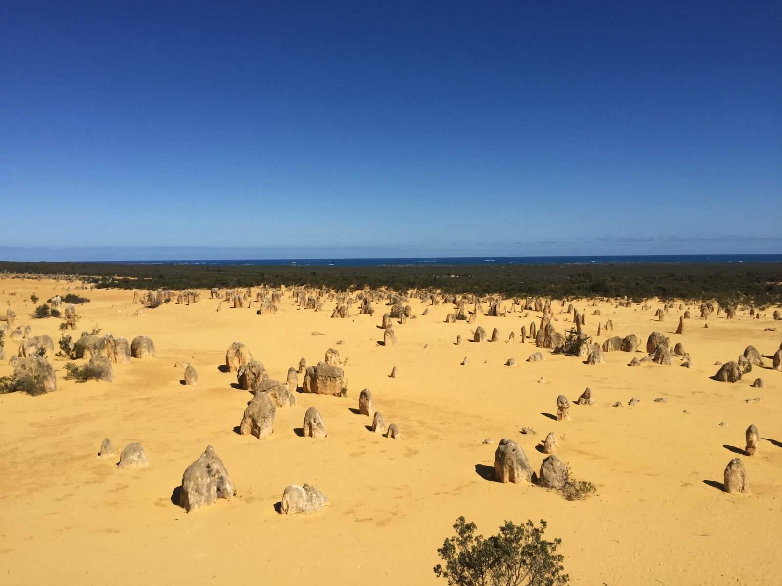 Apple iPhone 6 sample photo. The pinnacles, australia, nambung photography