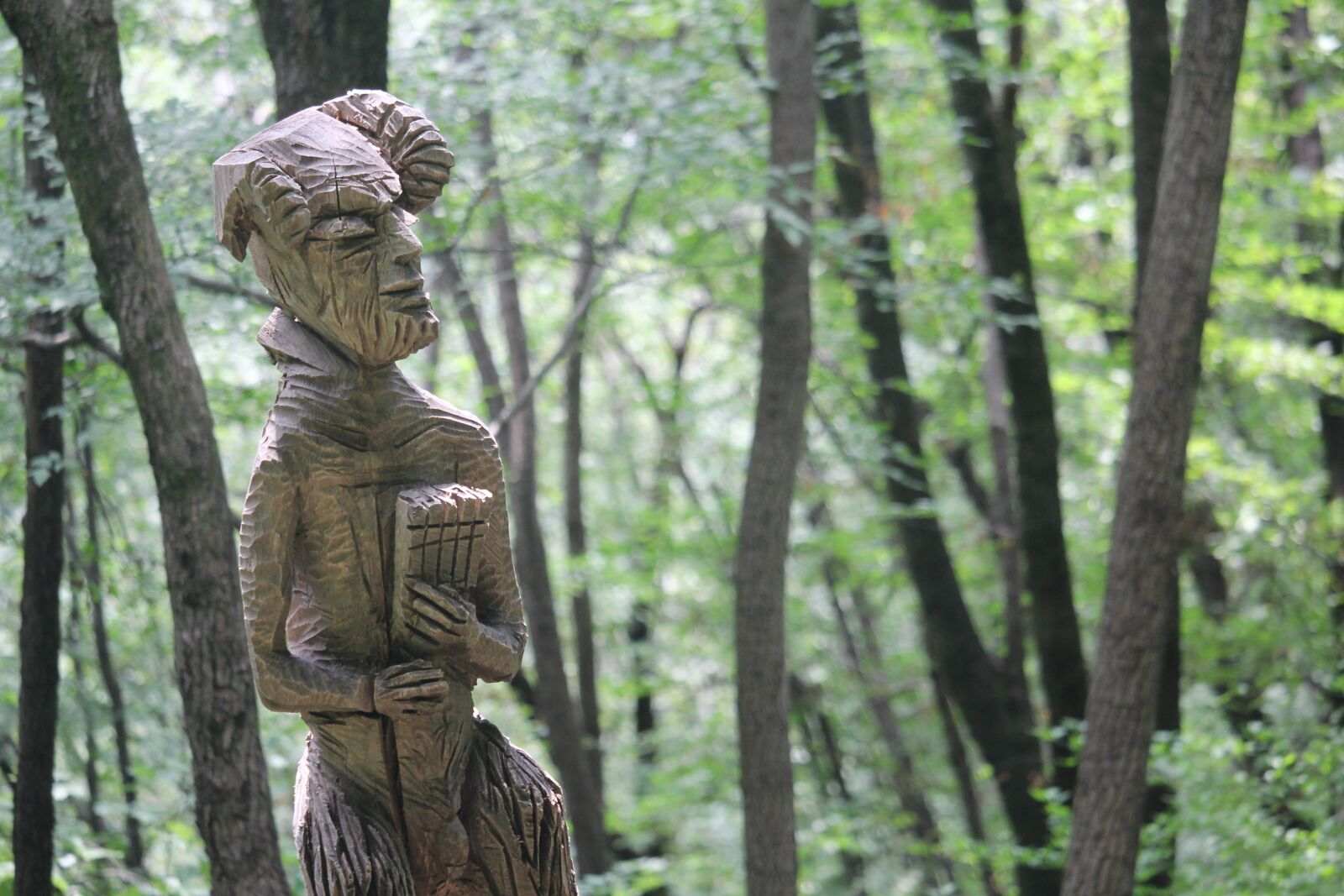 Canon EOS 60D + Canon EF-S 55-250mm F4-5.6 IS STM sample photo. Forest, sculpture, wood photography