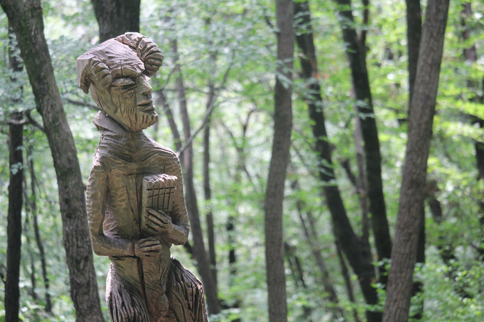 Canon EOS 60D sample photo. Forest, sculpture, wood photography