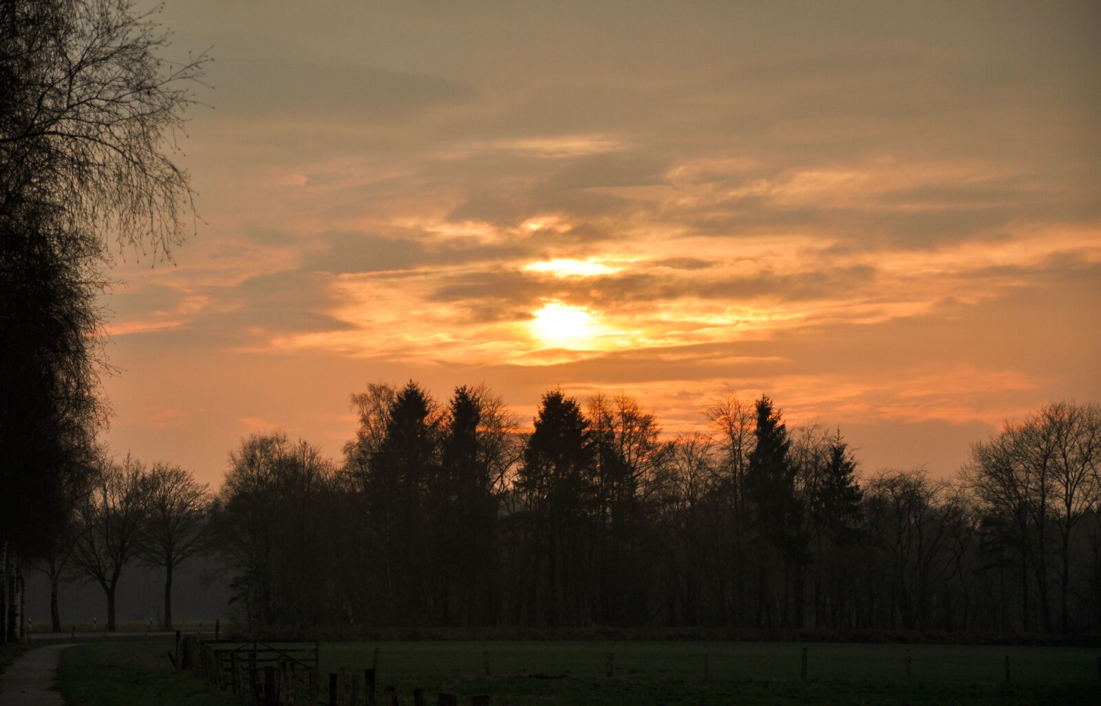 Nikon D90 sample photo. Abendstimmung, sunset, northern germany photography