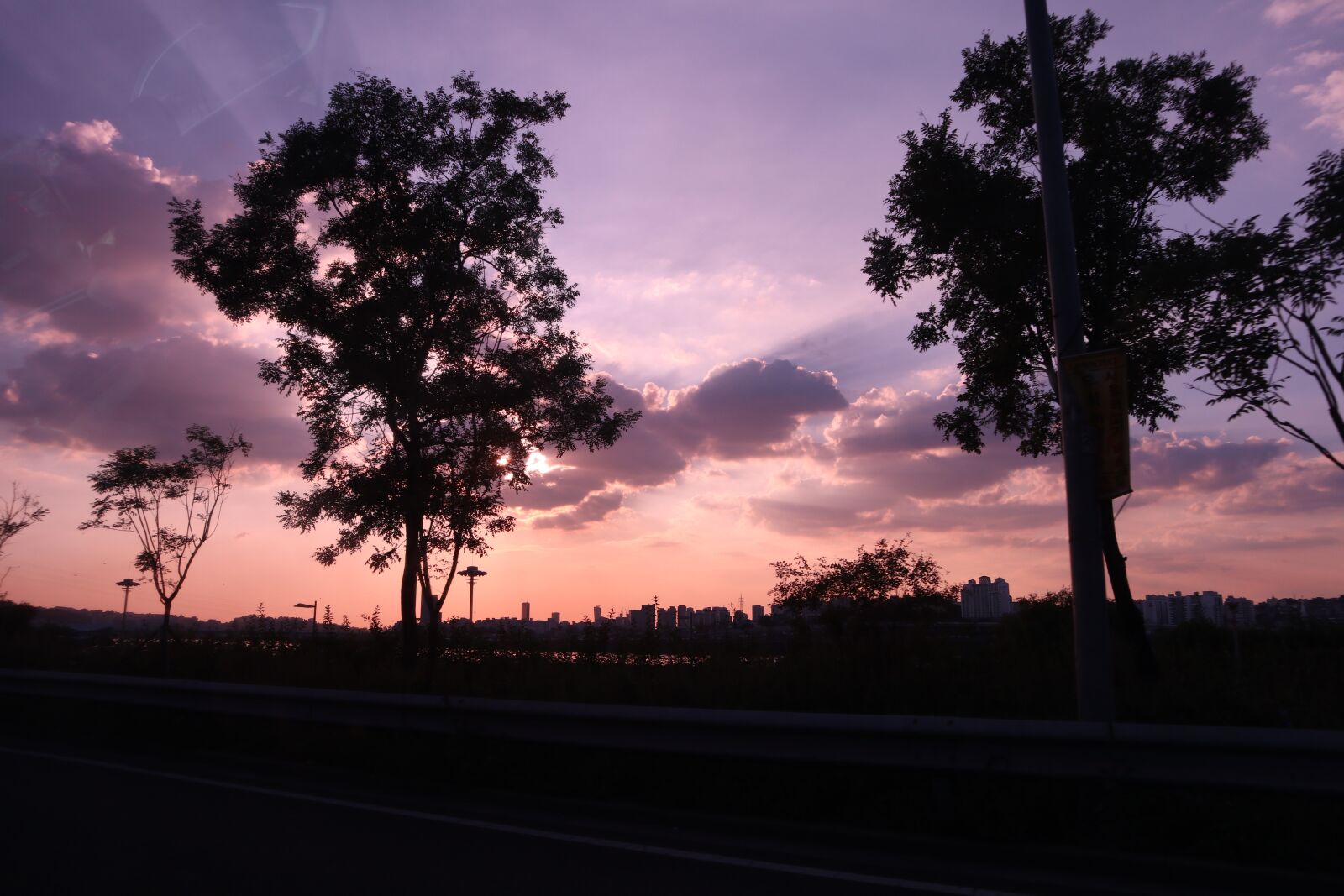 Canon EOS M100 sample photo. Trees, sunset, park photography