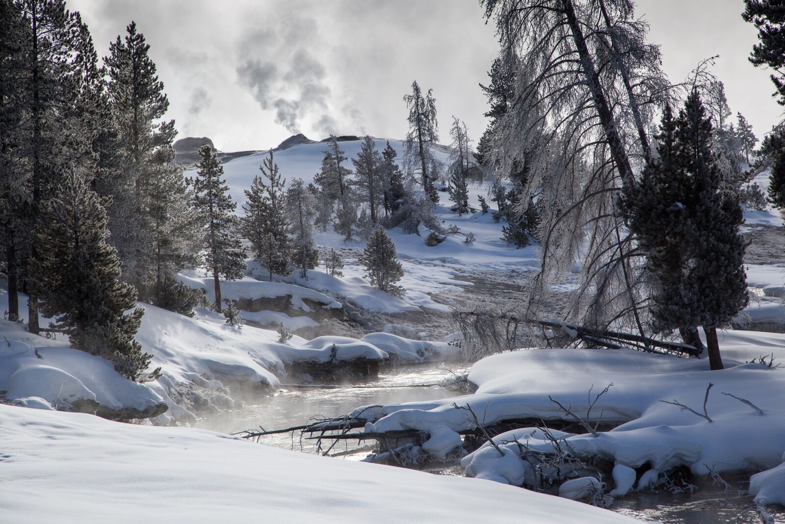 Canon EF 24-105mm F4L IS USM sample photo. Snow, winter, scenic photography
