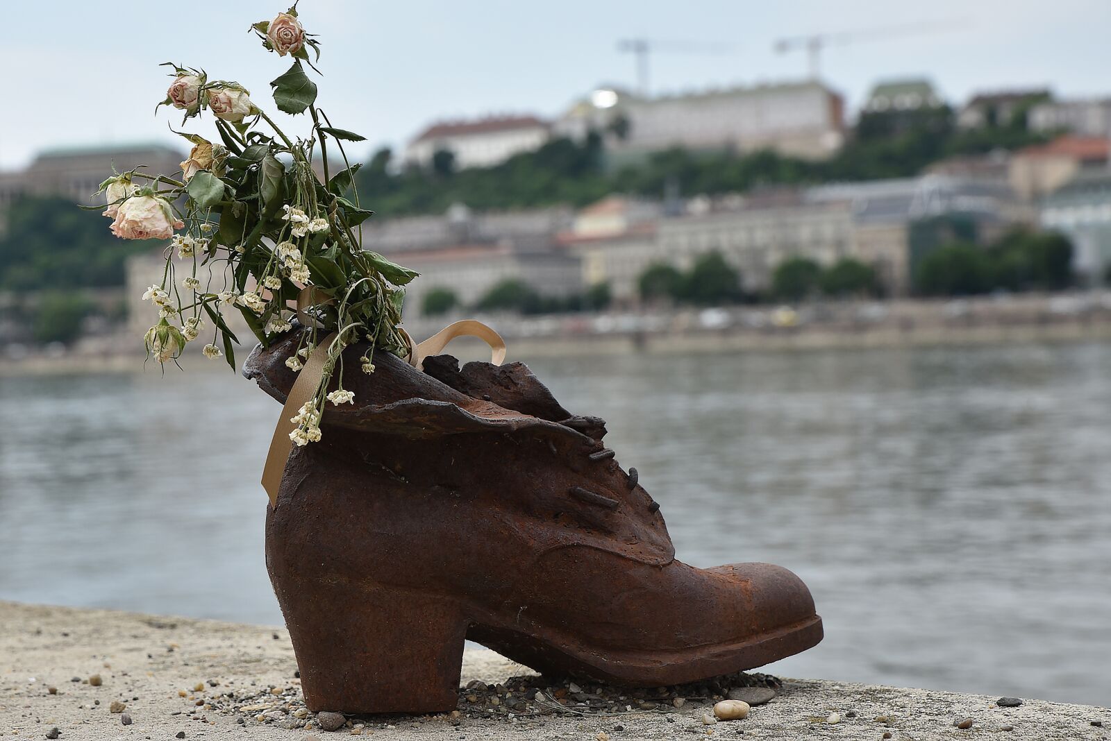 Nikon D750 sample photo. Danube, jew, shoe photography