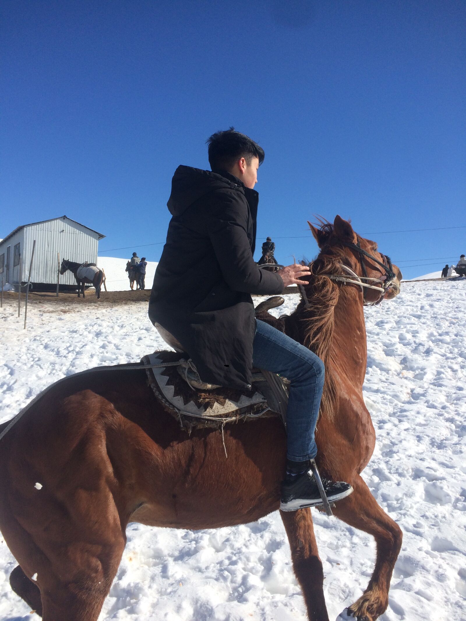iPhone 5s back camera 4.15mm f/2.2 sample photo. Kyrgyzstan, winter, horse photography