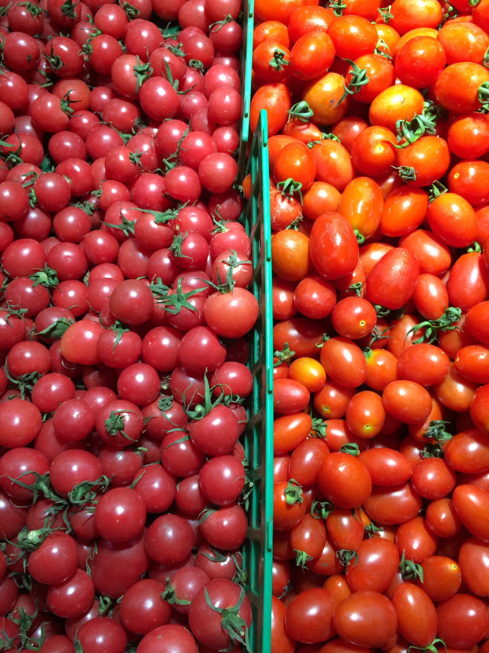 iPhone 5s back camera 4.12mm f/2.2 sample photo. Vegetable, tomato, red photography