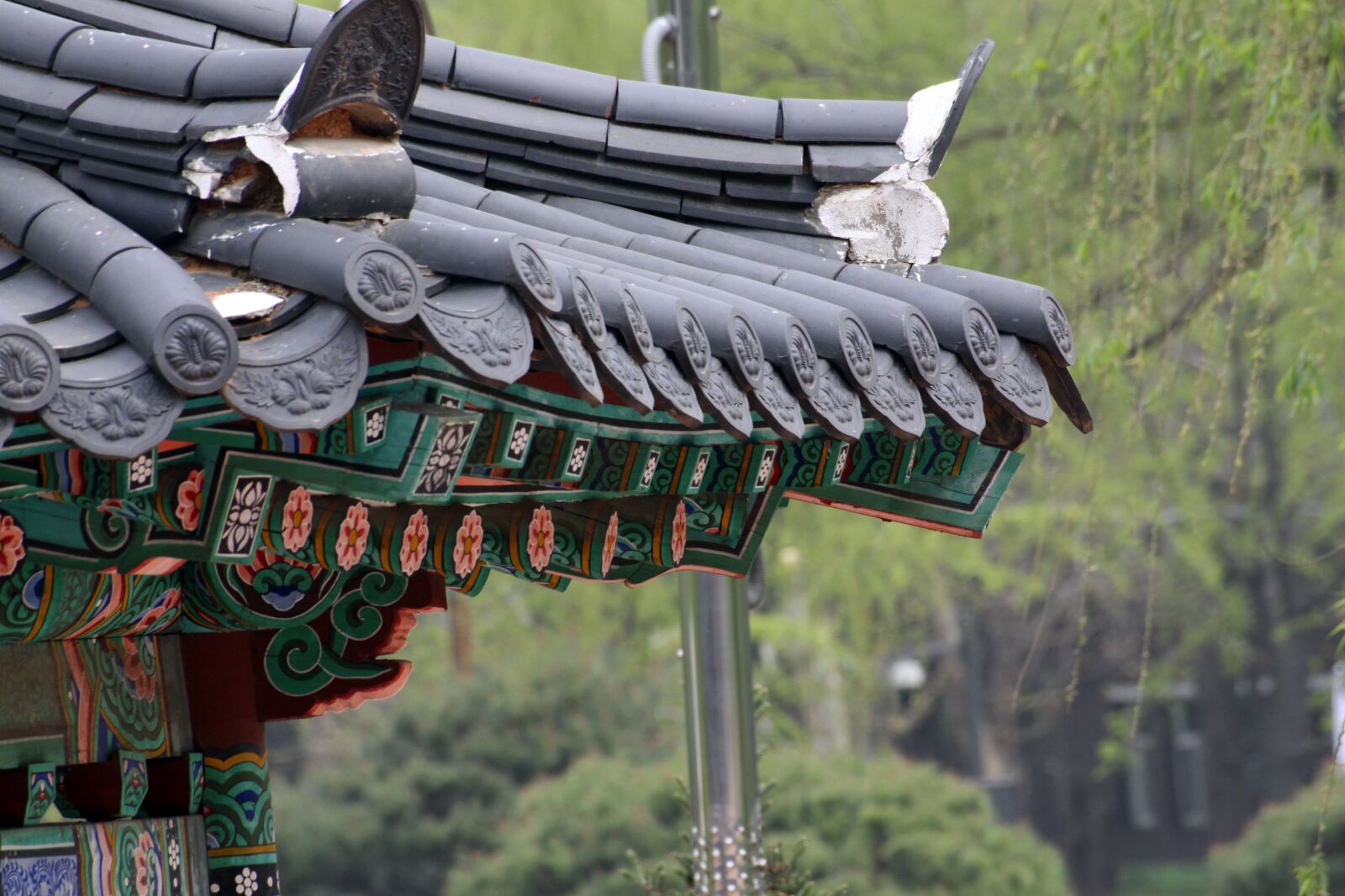 Canon EOS 50D sample photo. Roof tile, republic of photography