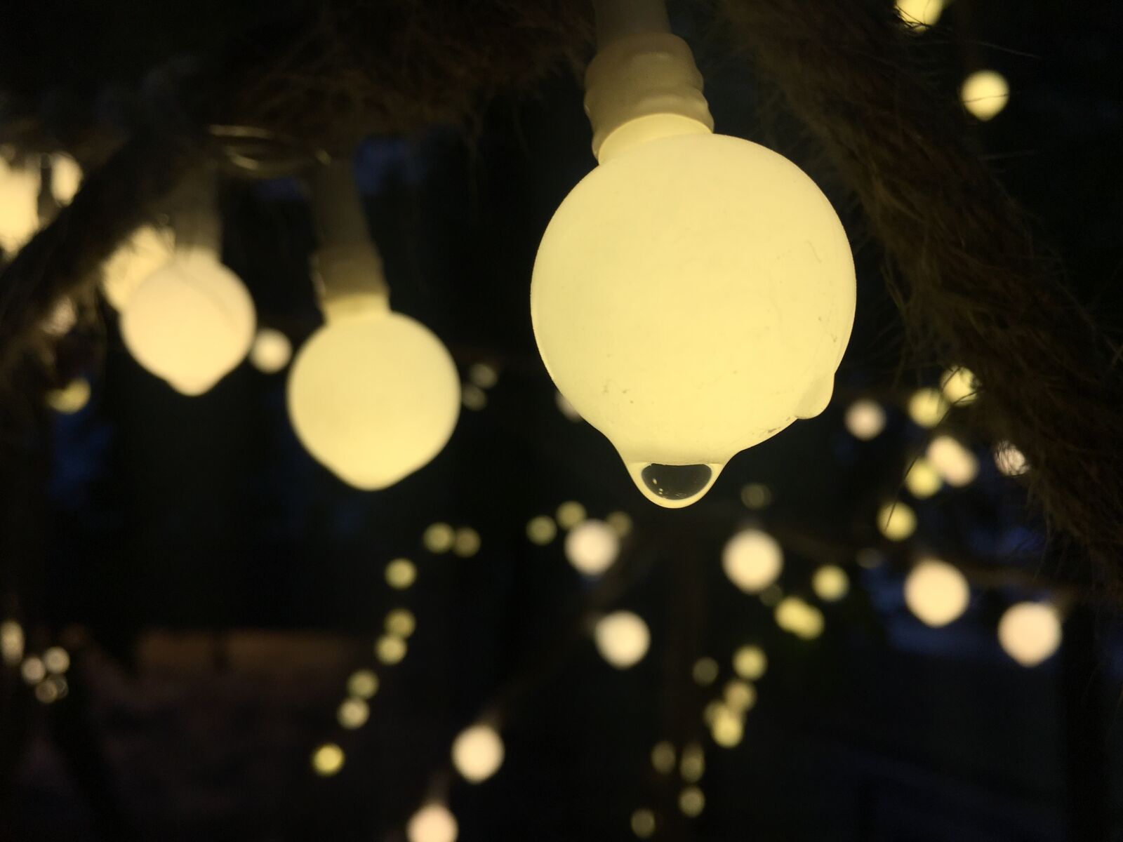 Apple iPhone 6s sample photo. Christmas, desktop, illuminated photography