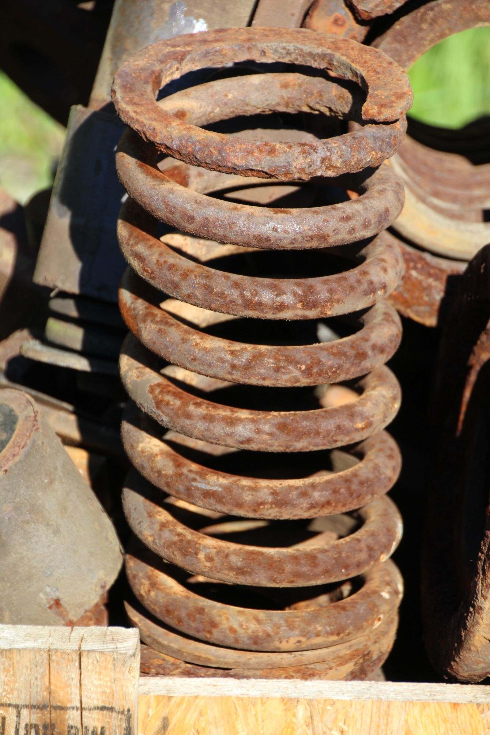 Canon EOS 1200D (EOS Rebel T5 / EOS Kiss X70 / EOS Hi) sample photo. Feather, railway, rusted photography