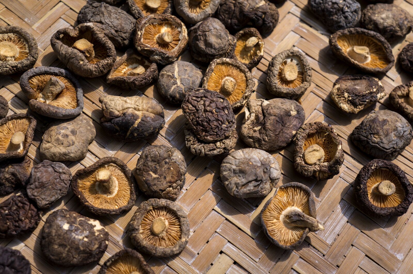 Sony Alpha NEX-F3 + Sony E 18-55mm F3.5-5.6 OSS sample photo. Food, shiitake mushrooms, dried photography
