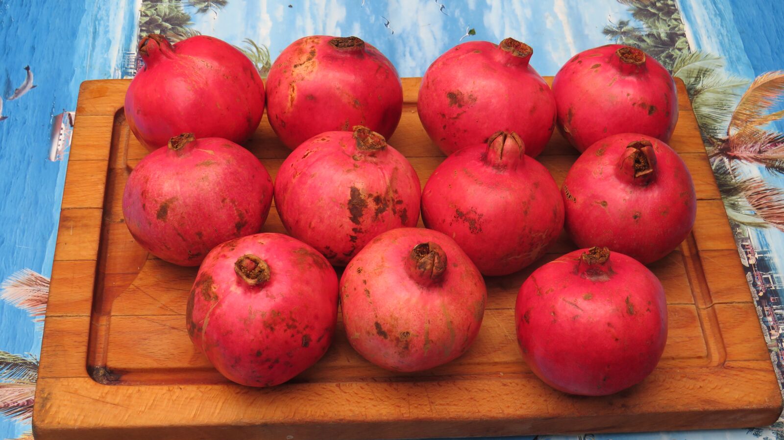 Canon PowerShot SX540 HS sample photo. Pomegranate, fruit, healthy photography