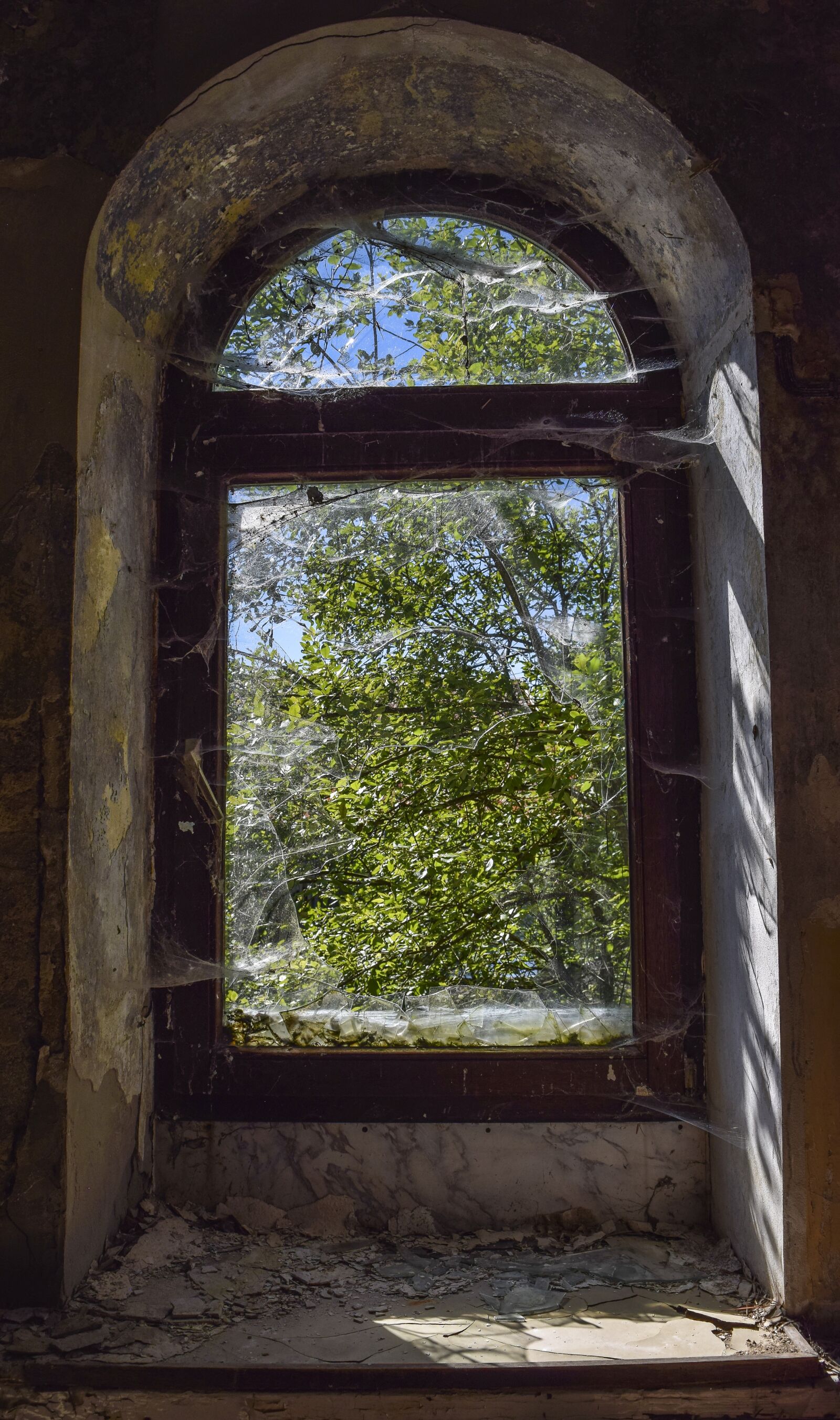Nikon D3300 sample photo. Lost places, window, abandoned photography