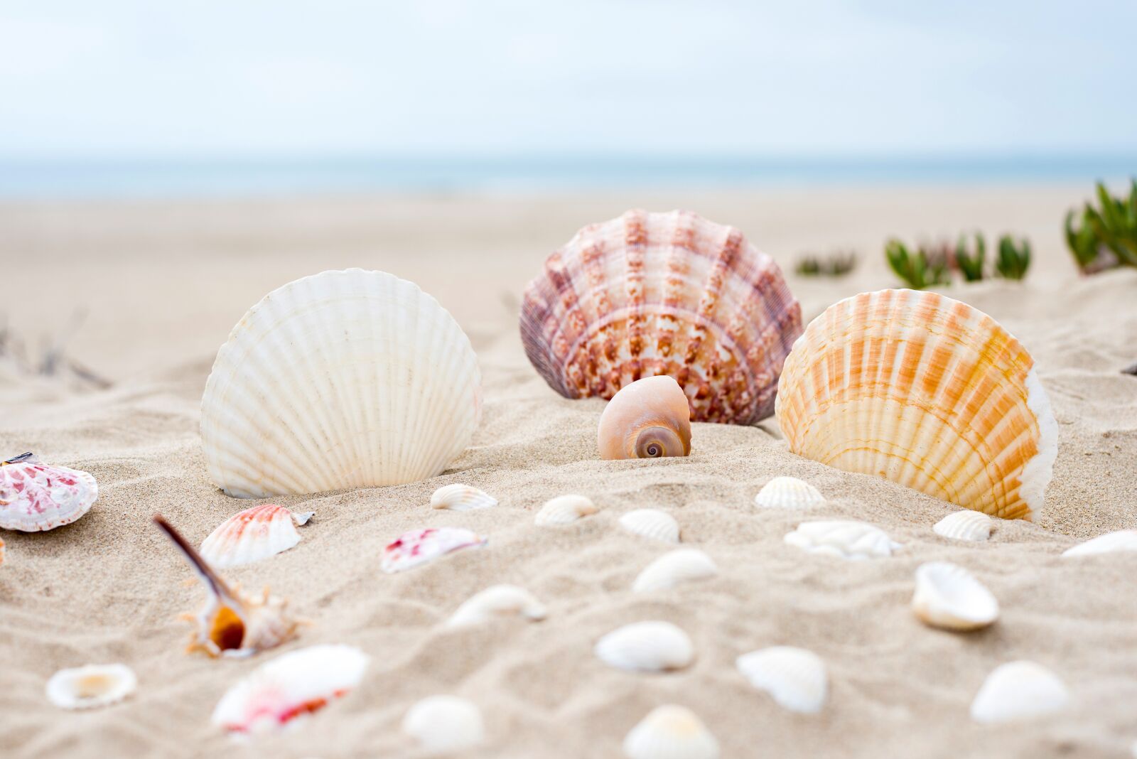 Nikon D750 sample photo. Beach, sand, ocean photography