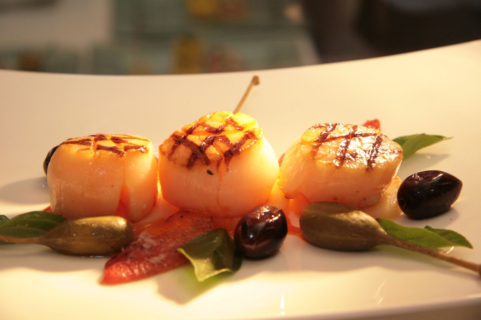 Canon EOS 30D sample photo. Scallop, plate, grilled photography