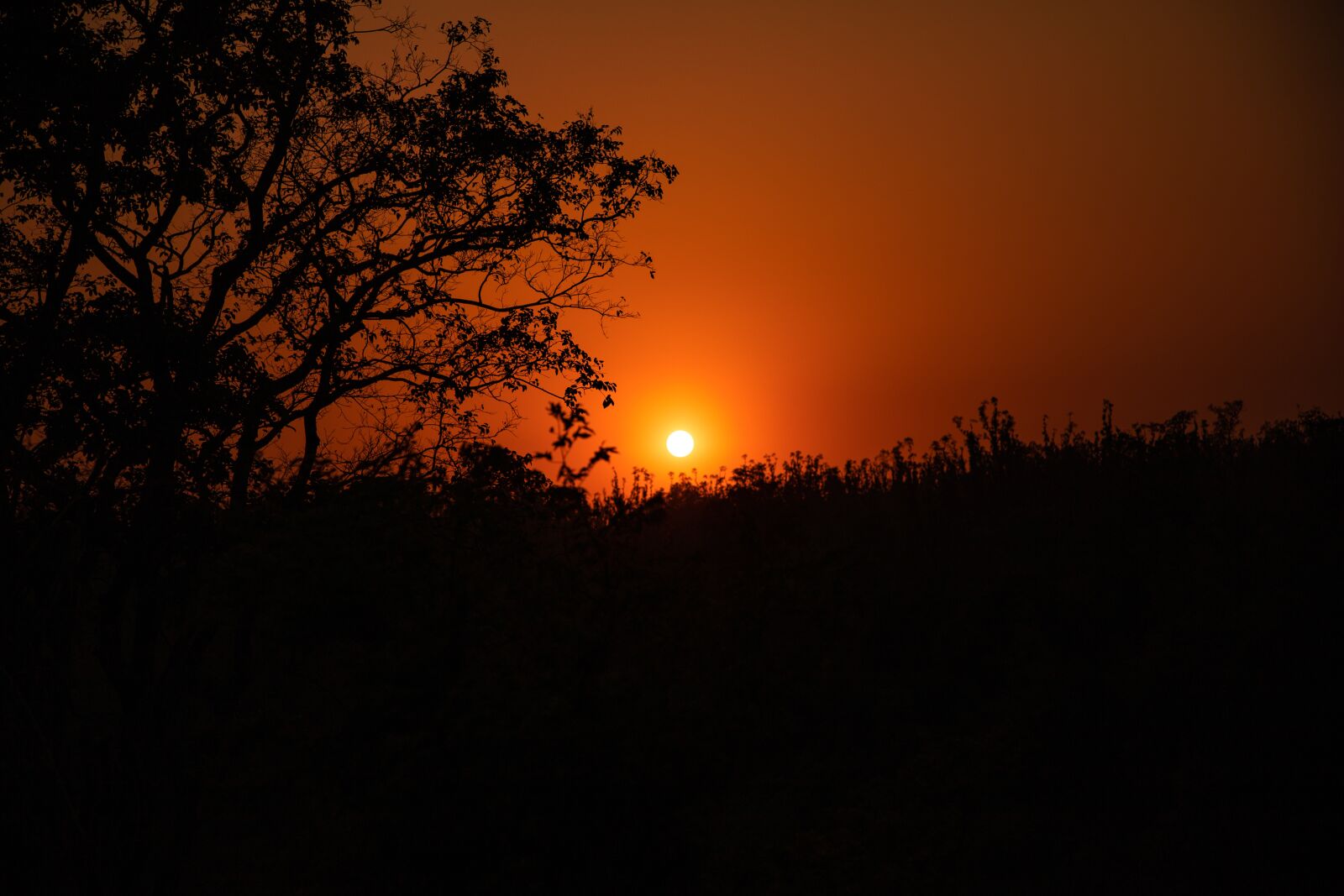 Canon EF 24-105mm F4L IS II USM sample photo. Sunset, sun, evening photography