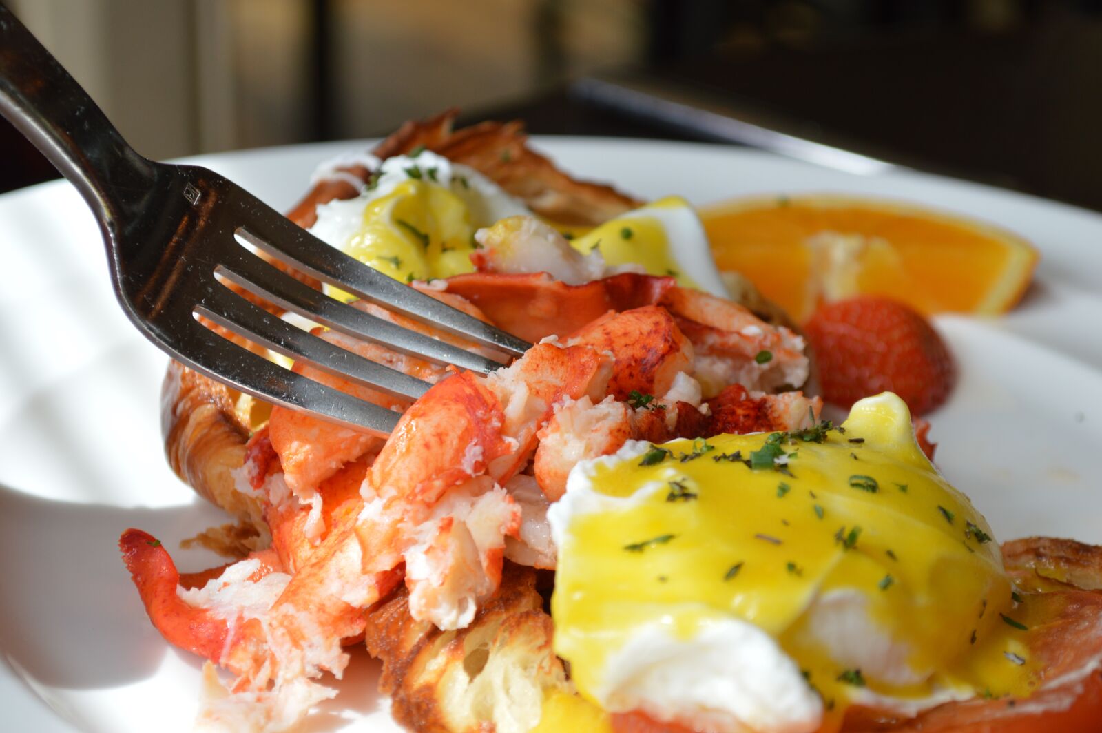 Nikon D3200 sample photo. Lobster, brunch, benedict photography