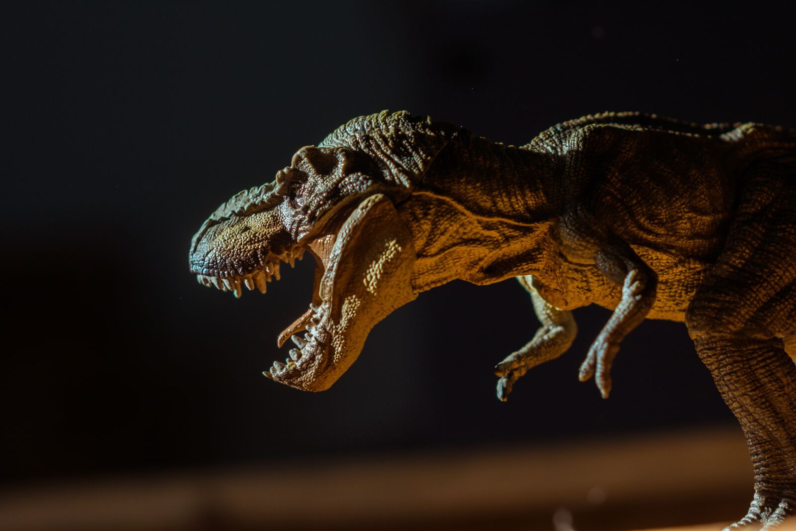 Nikon D5200 sample photo. Toy, animal, cute photography