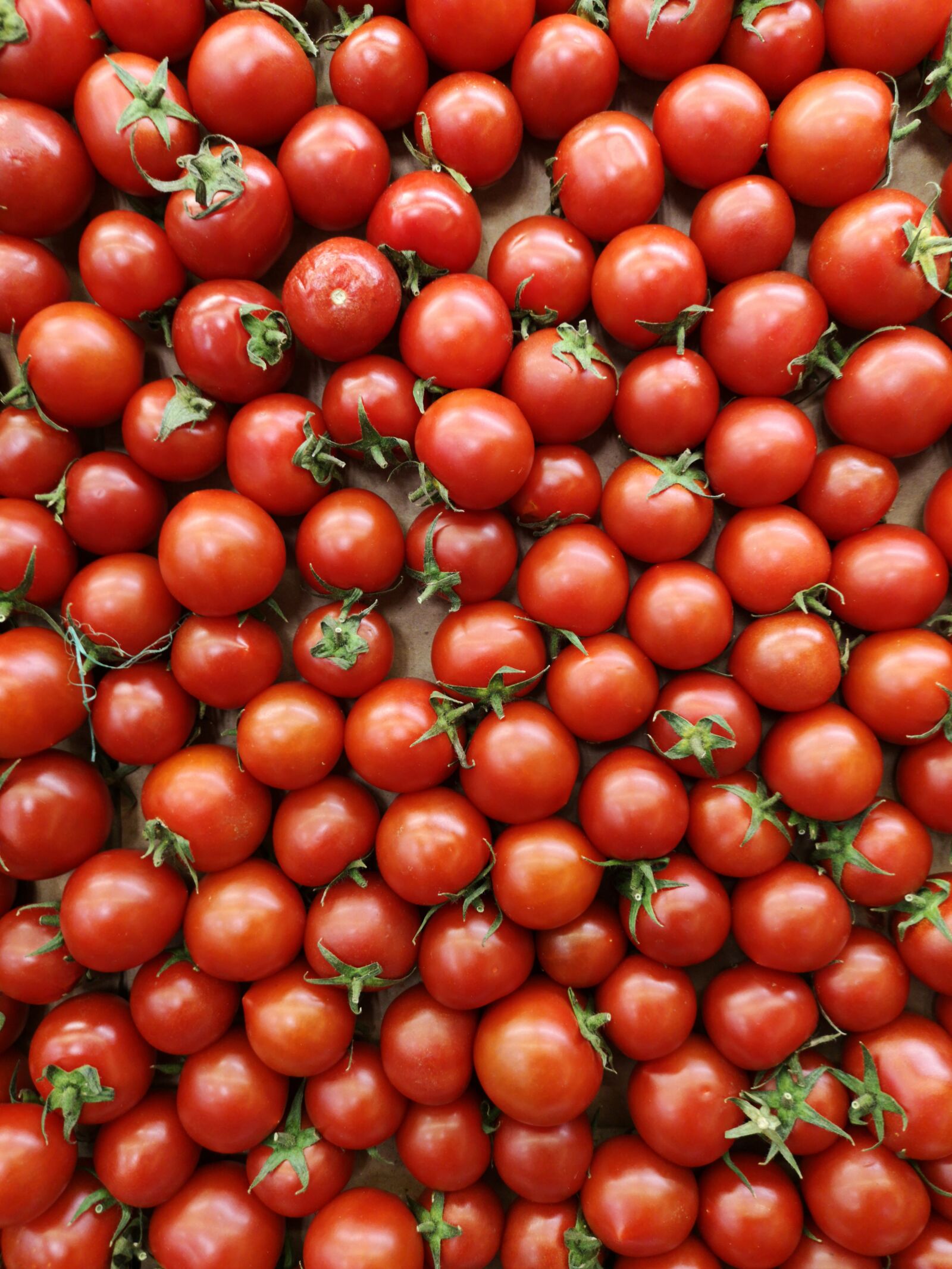 HUAWEI CLT-L09 sample photo. Tomato, vegetable, fruit photography