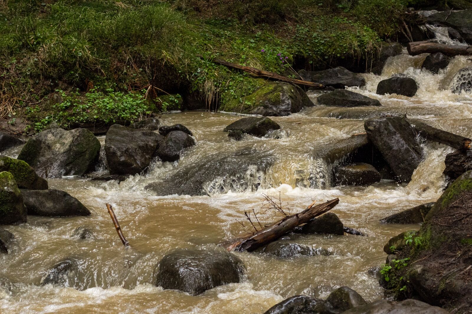 Canon EOS 60D + Canon EF 50mm F1.8 II sample photo. River, stones, water photography