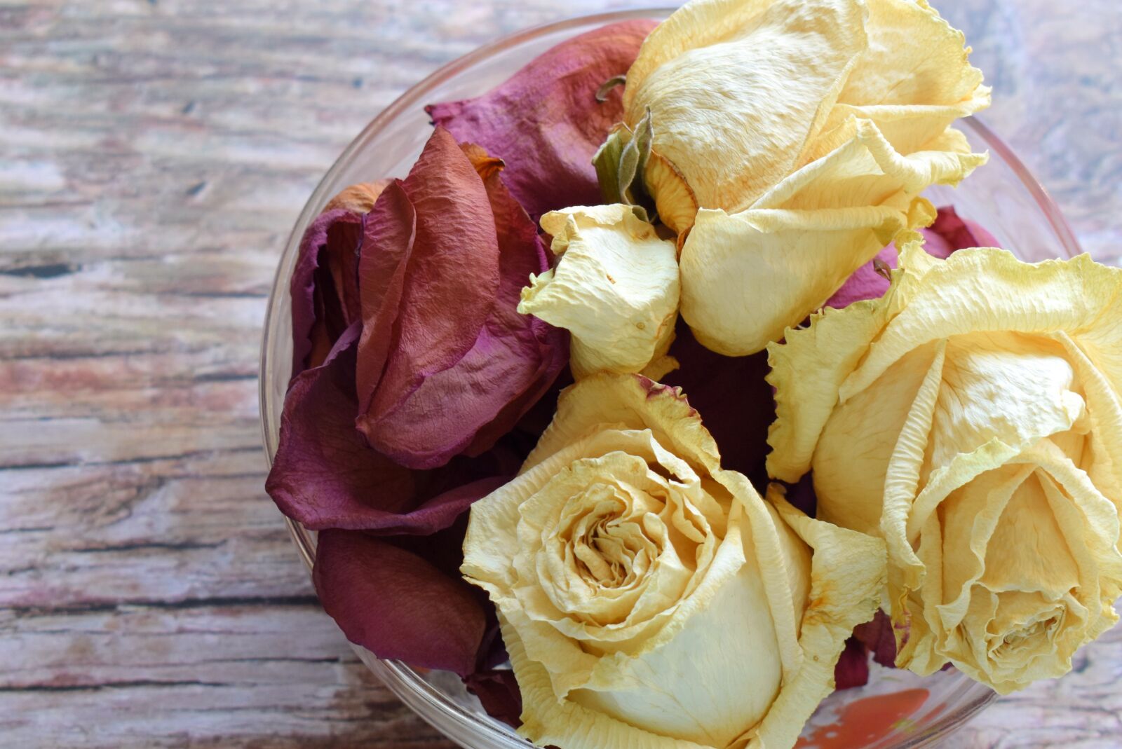 Nikon D3400 sample photo. Flowers, roses, dry photography