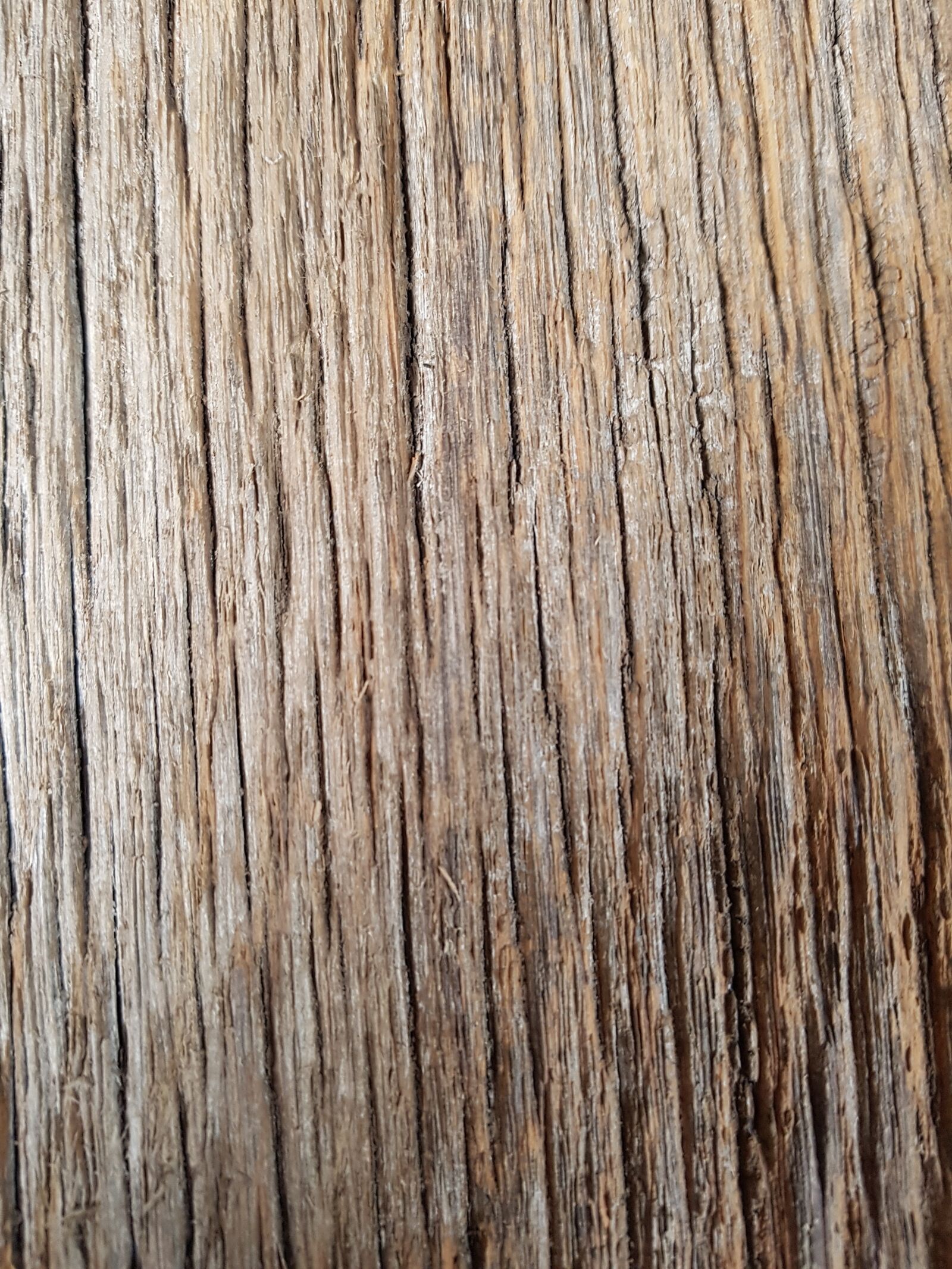Samsung SM-G930F sample photo. Wood, texture, pattern photography
