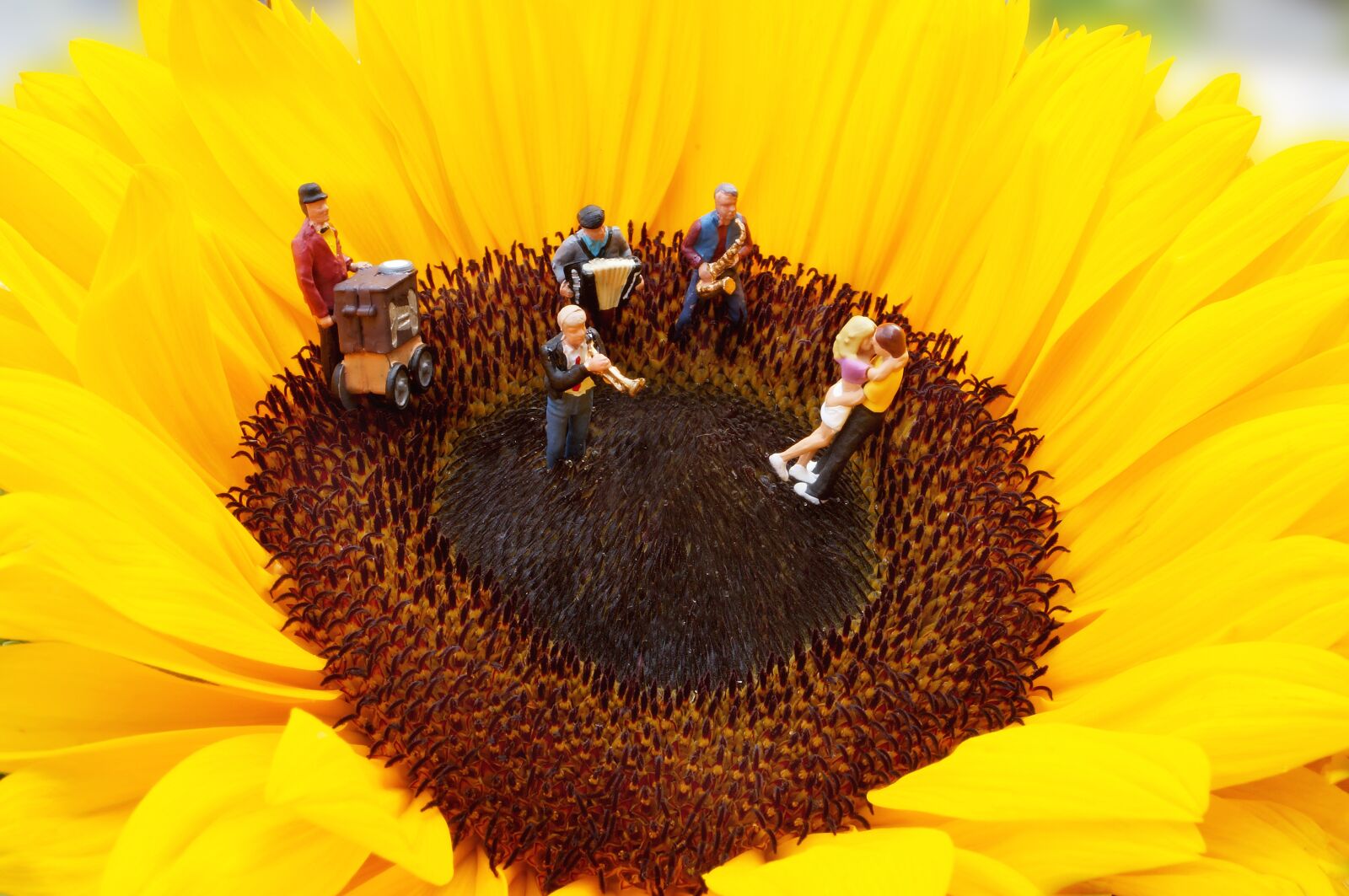 Sony SLT-A57 sample photo. Miniature, ho2, figures photography