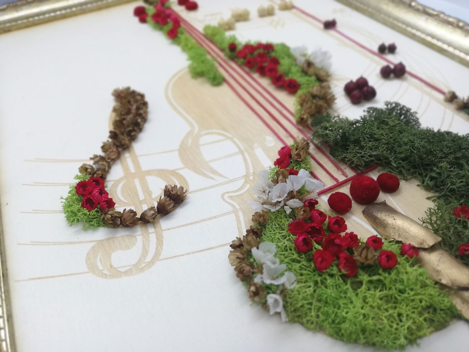 HUAWEI P20 lite sample photo. Stabilized lichen violin, table photography