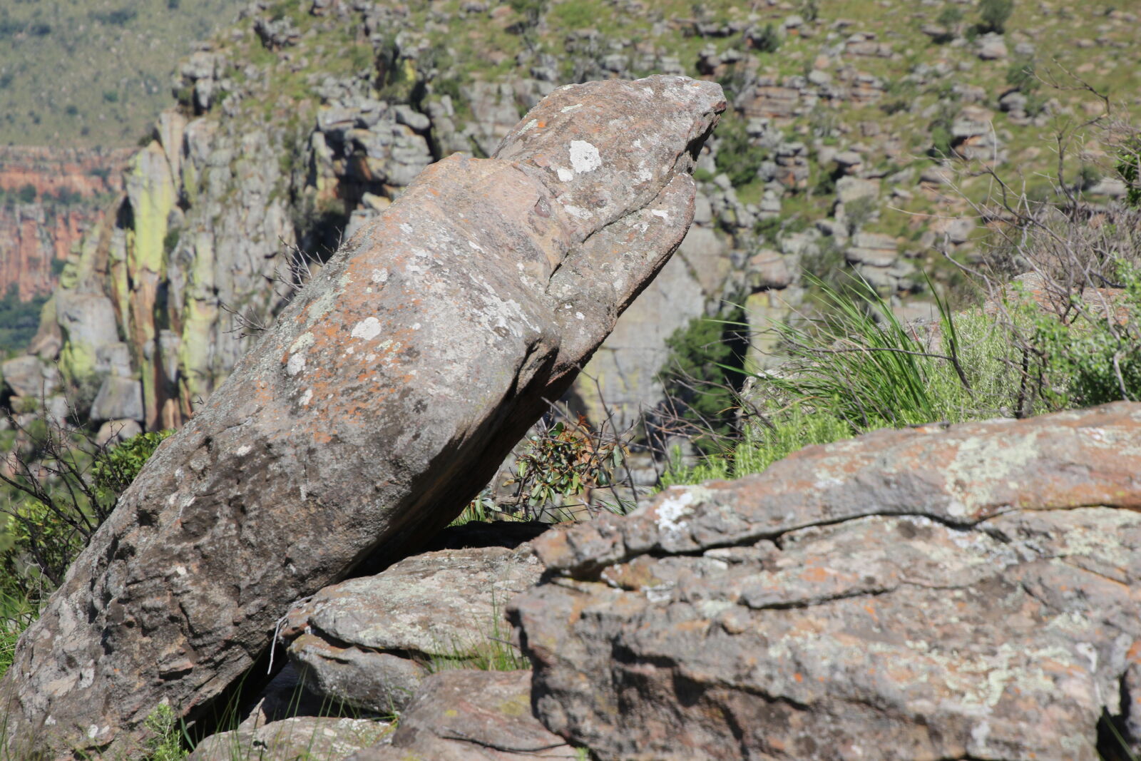 Canon EOS 7D Mark II sample photo. Balance, brown, green, mountain photography