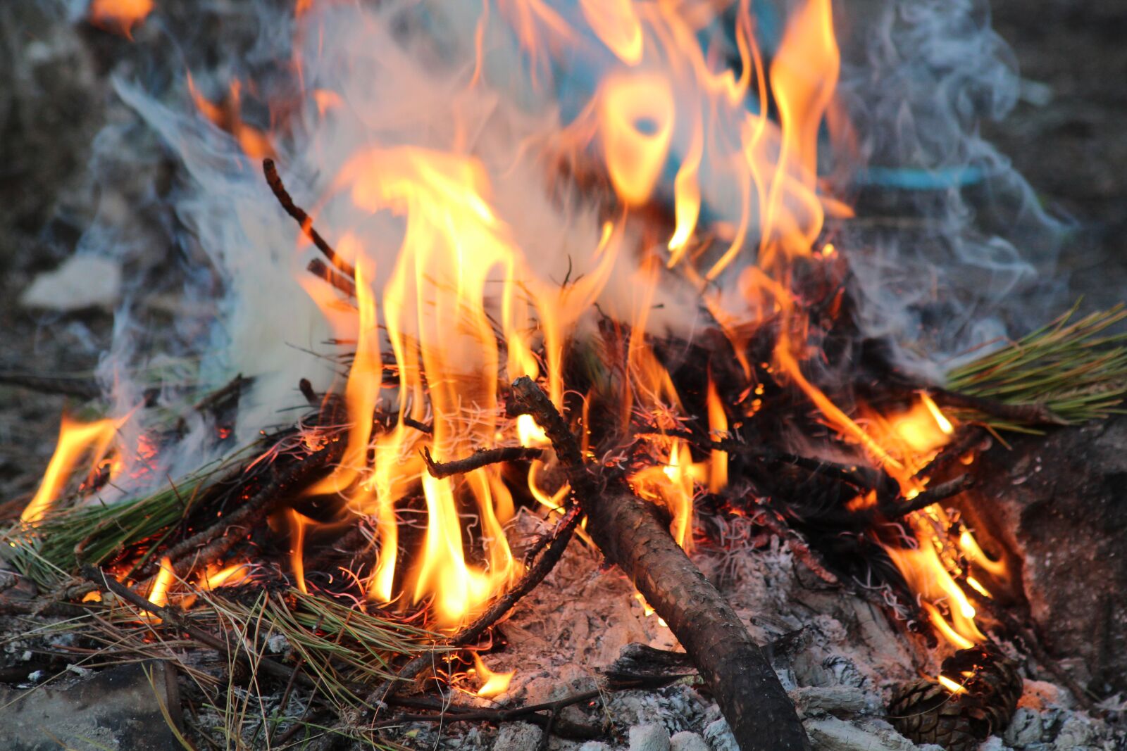 Canon EOS 600D (Rebel EOS T3i / EOS Kiss X5) sample photo. Ali, barbecue, flame photography