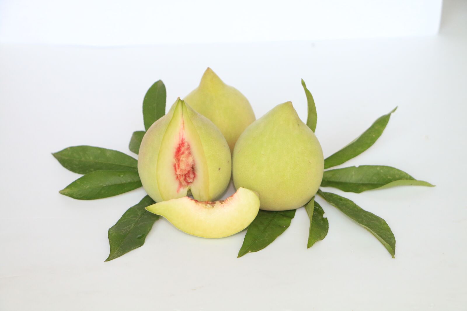 Canon EOS 70D sample photo. Olecranon peach, peaches, peach photography