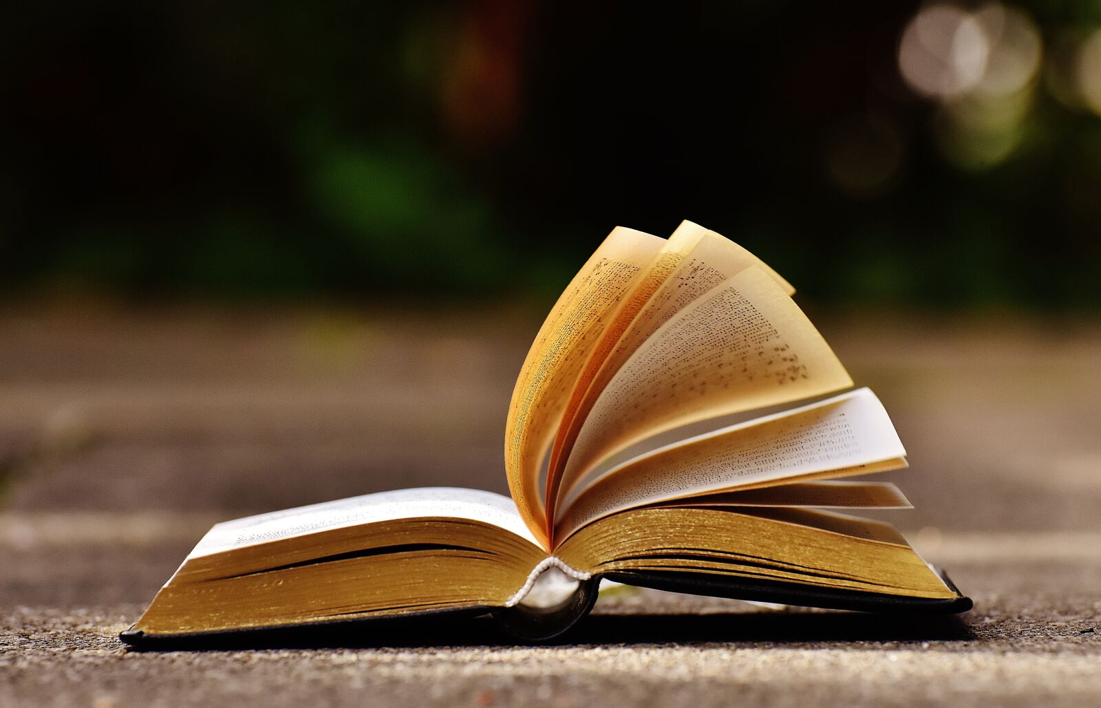 Nikon D7200 sample photo. Book, pitched, book pages photography