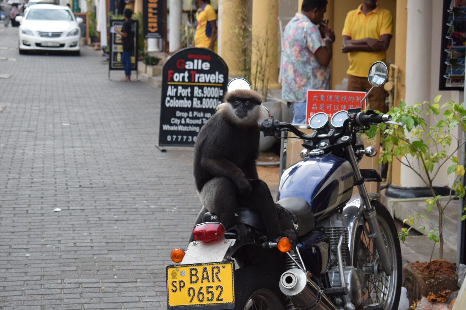 Nikon D5300 sample photo. Monkey, animals, motorbike photography